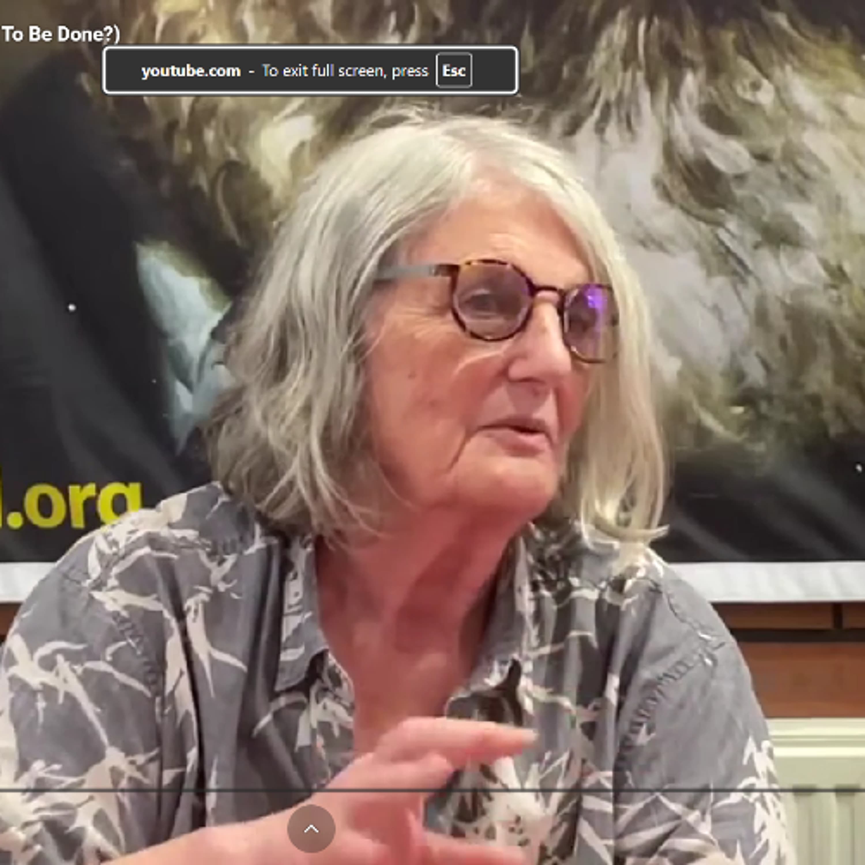 Ella Rule on revolutionary theory - lenin's What is to be done