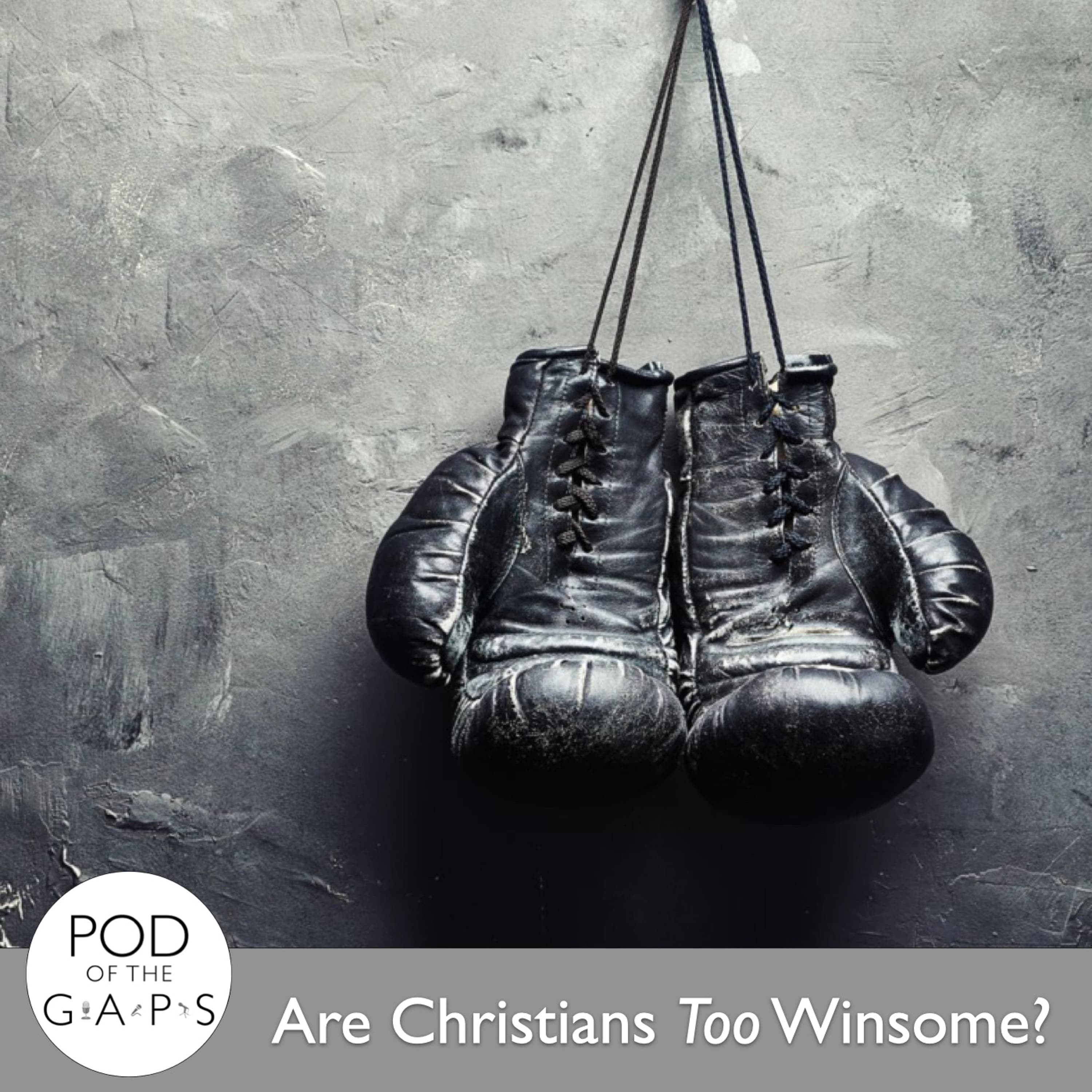 Episode 57 - Are Christians Too Winsome?