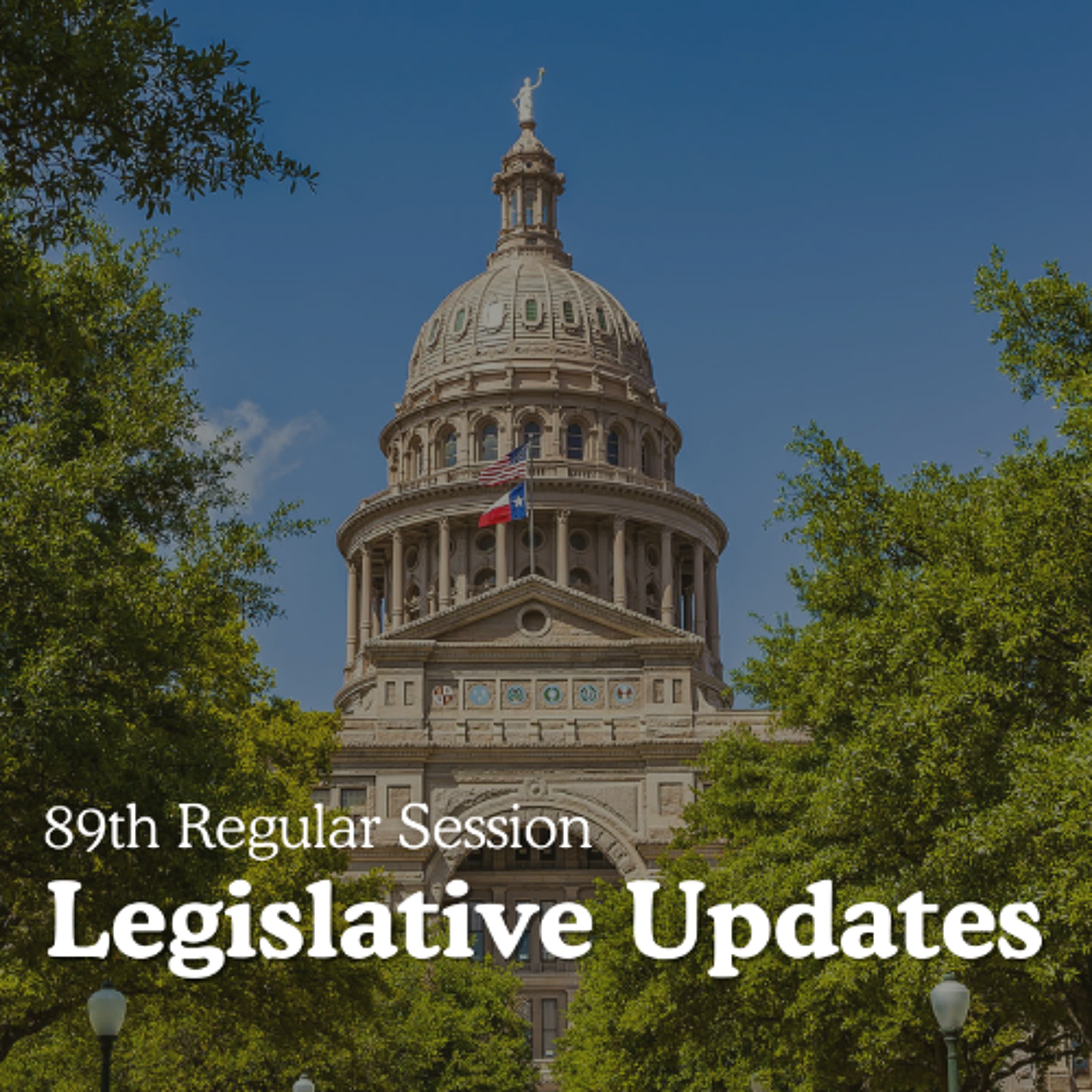 Weekly Legislative Update Live from the Texas Capitol - May 30, 2025