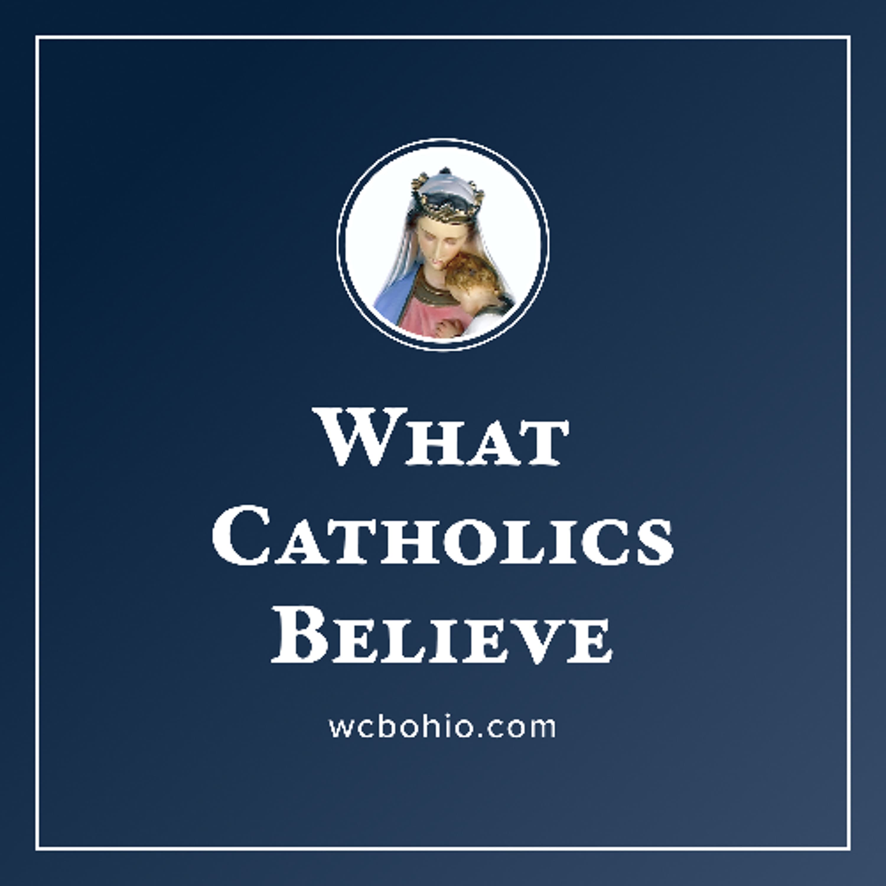Grail Psalms? Anglicans. Catechism Flaws. Forgiveness? Grieving! Euthanasia. Bible! Leftist Leo.
