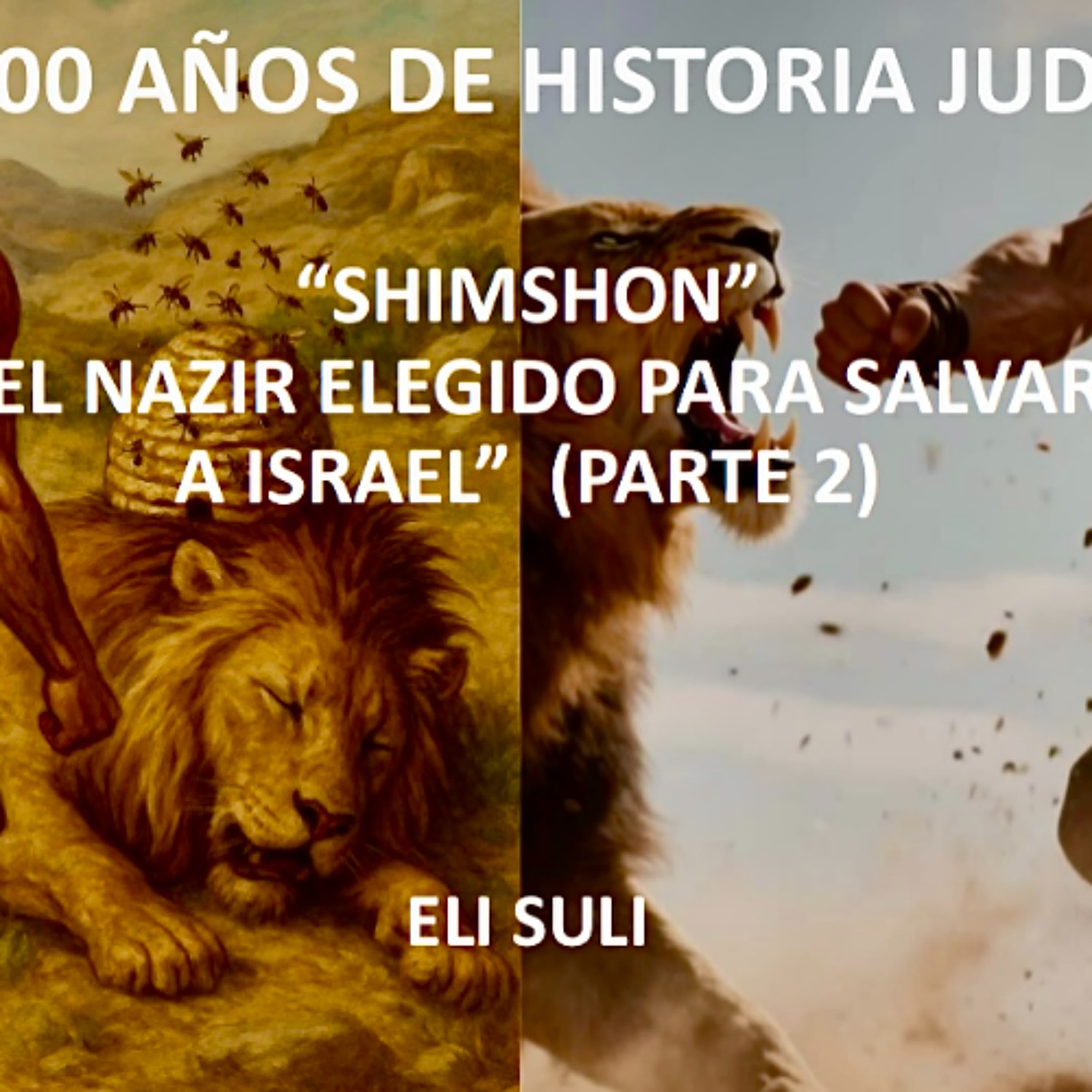 SHIMSHON EL NAZIR ELEGIDO PARA SALVAR AL PUEBLO DE ISRAEL (2 Parte)