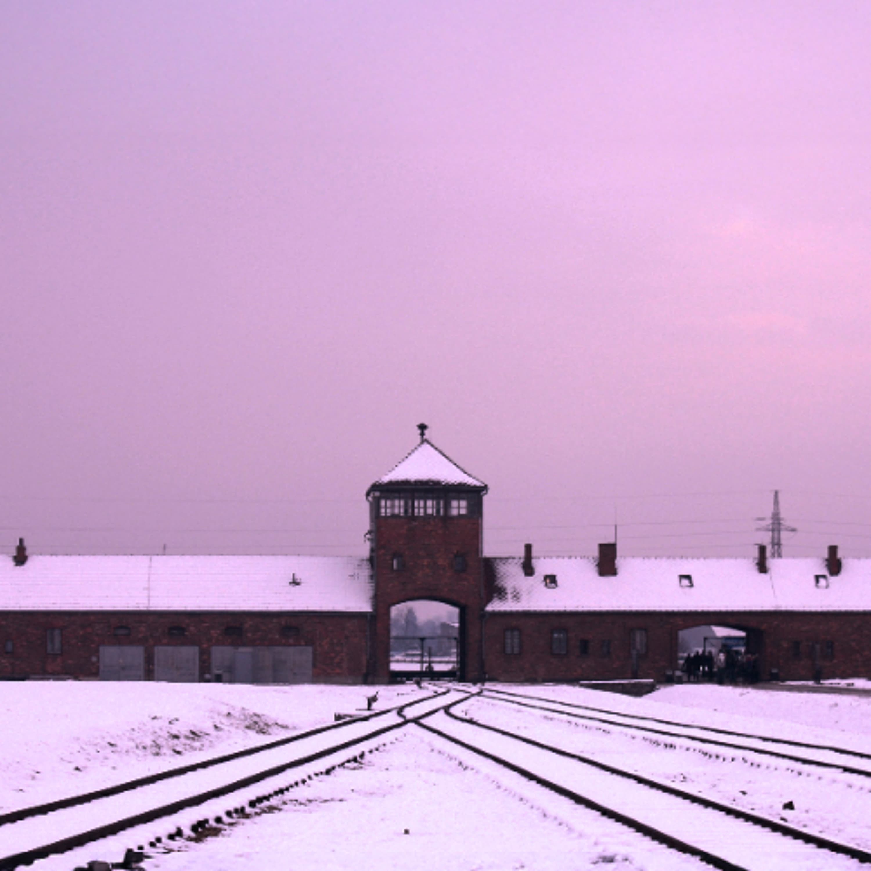 The Nazi Experiment, Vol. 6: Carl Schmitt and the Total State