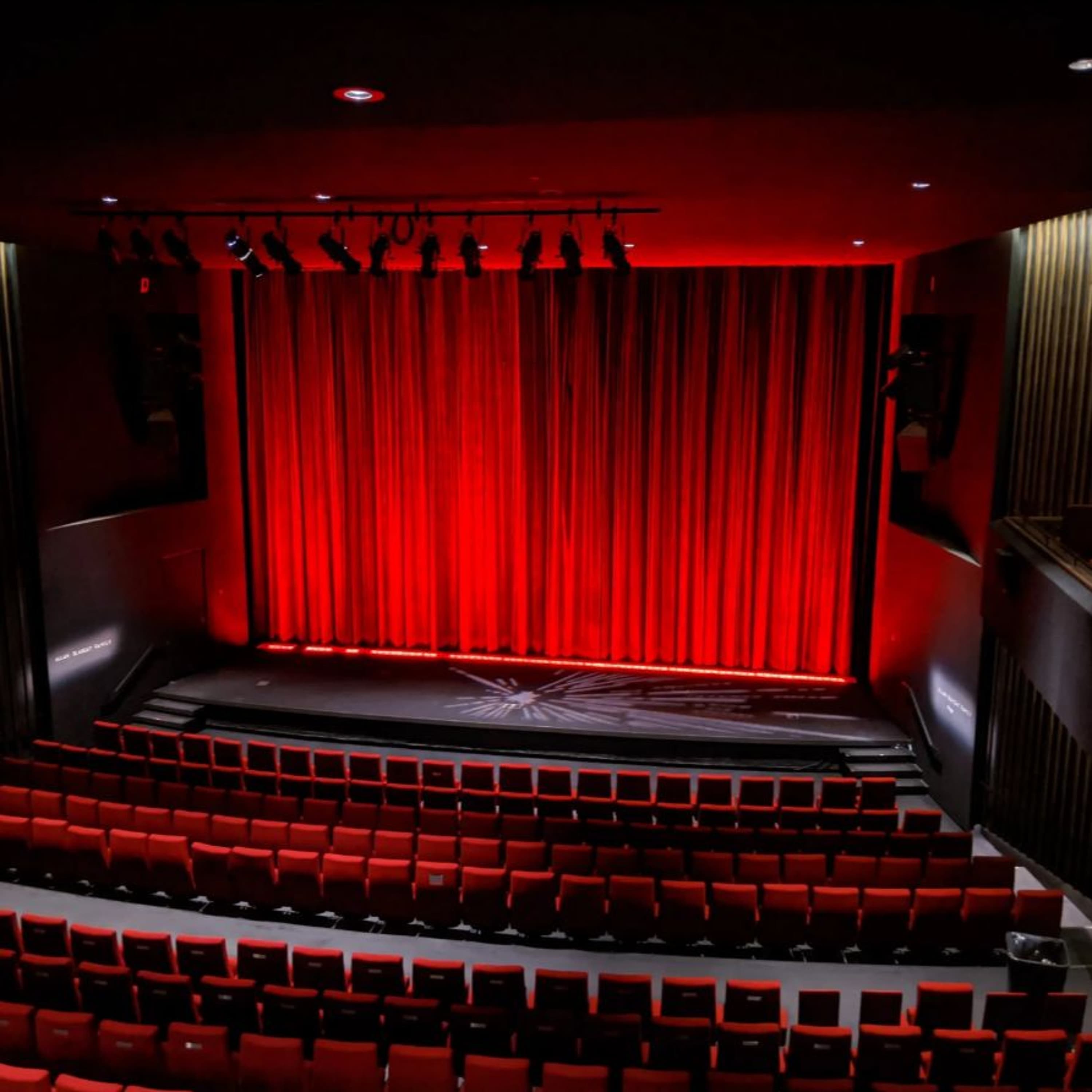 An Epilogue to The Pink Smoke's time at the Toronto International Film Festival