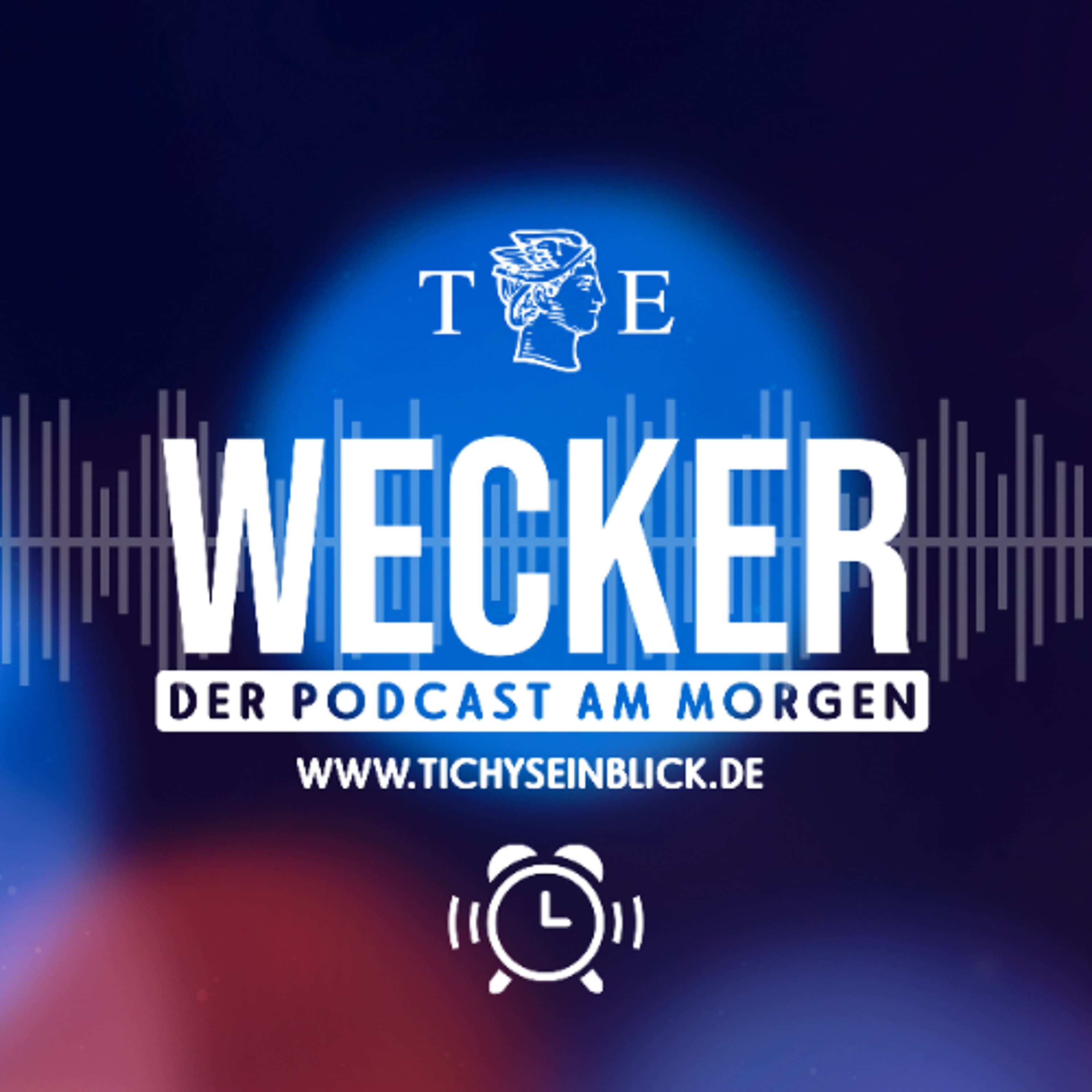 Keine Neuwahl des Bundestages: Abgeordnete wollen ihre Sitze behalten- TE Wecker am 19.12.2025