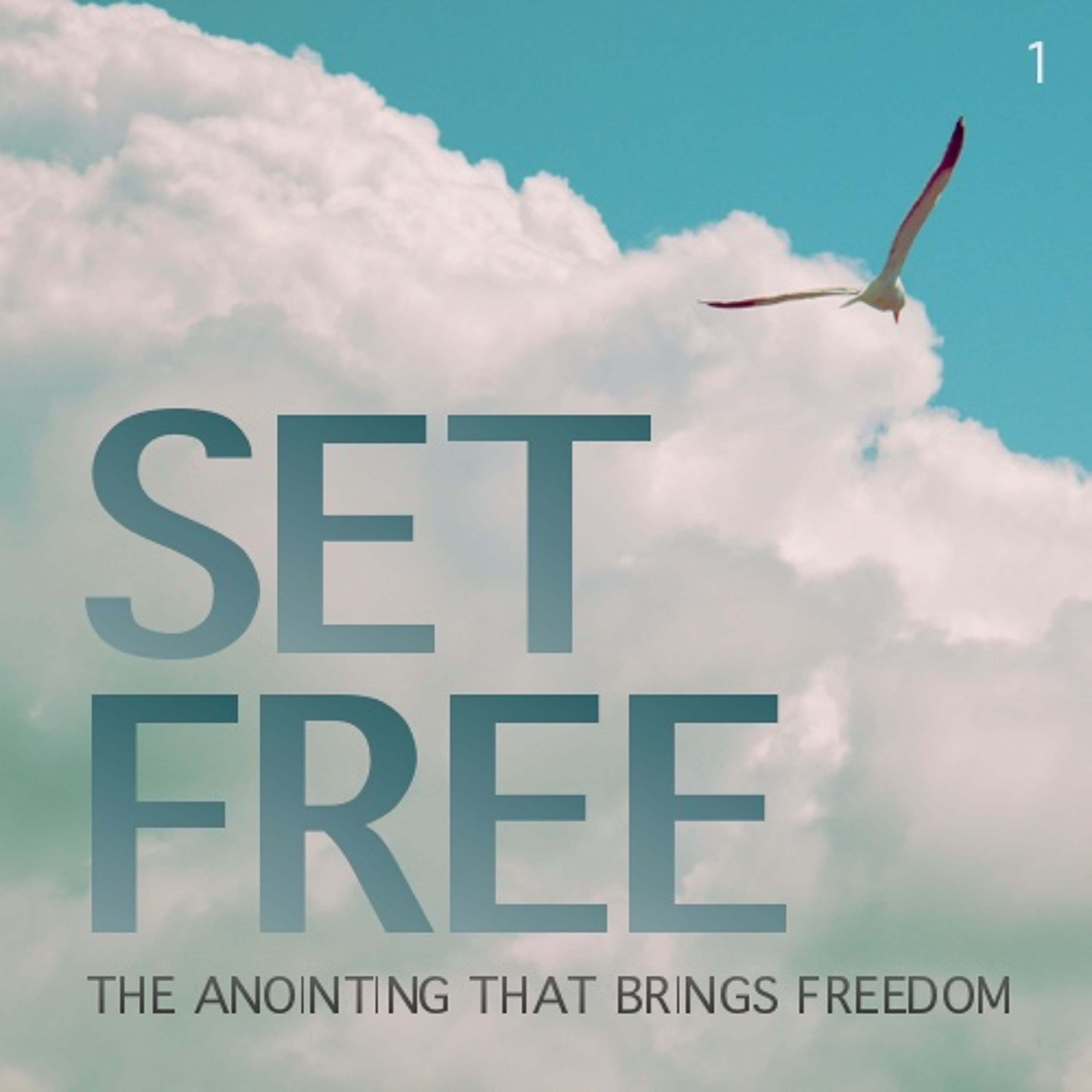 Set Free: The Anointing That Brings Freedom - Part One
