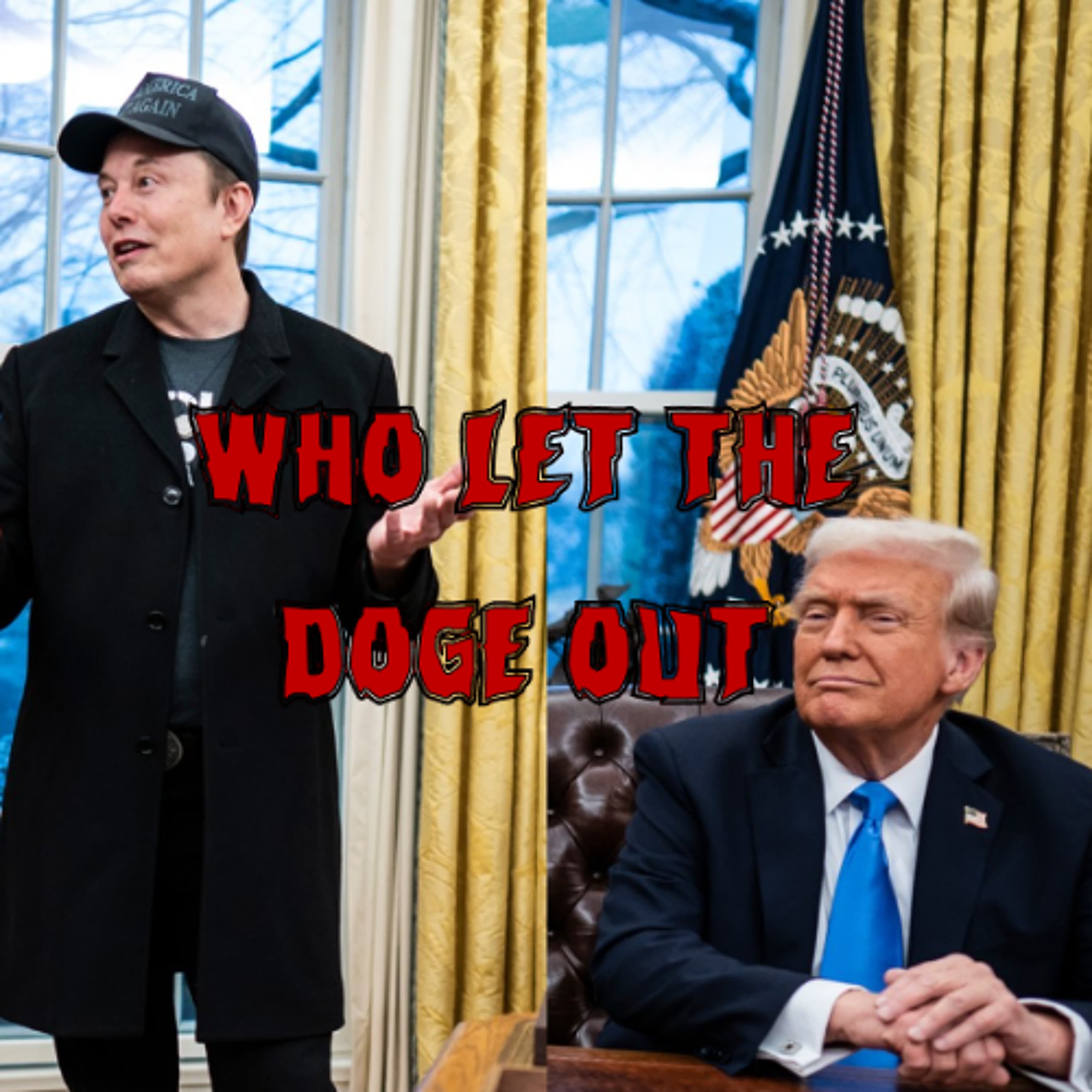 394. Who Let the DOGE Out