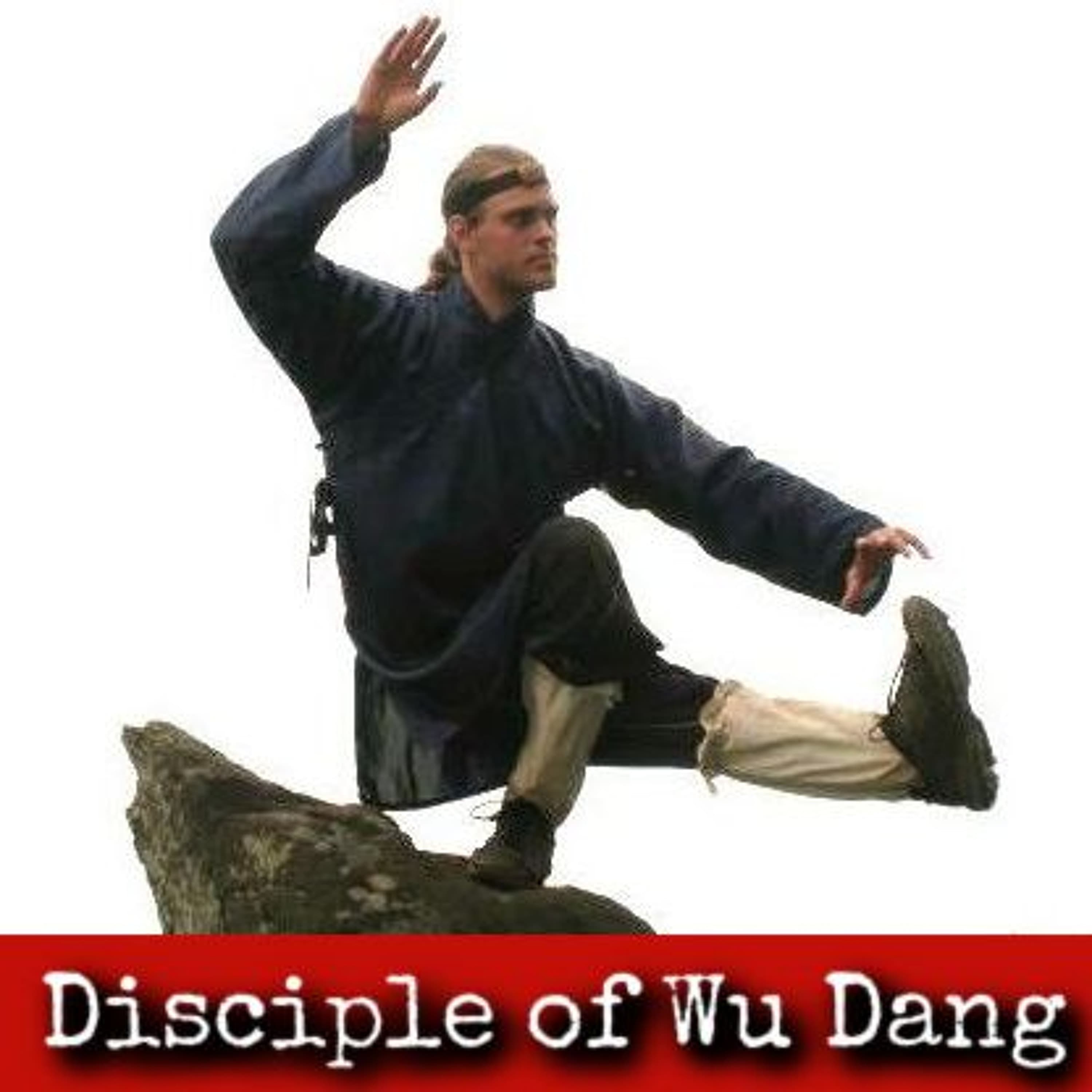 Ep312: Disciple of Wu Dang - Johan Hausen