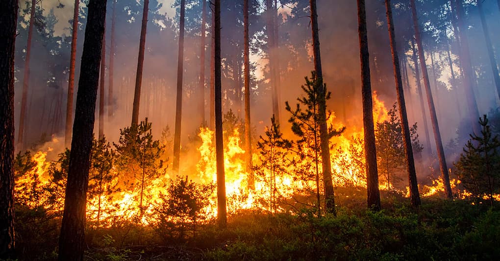 Non scherzare col fuoco