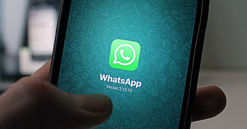 Falso WhatsApp - Connessioni trasparenti - AI