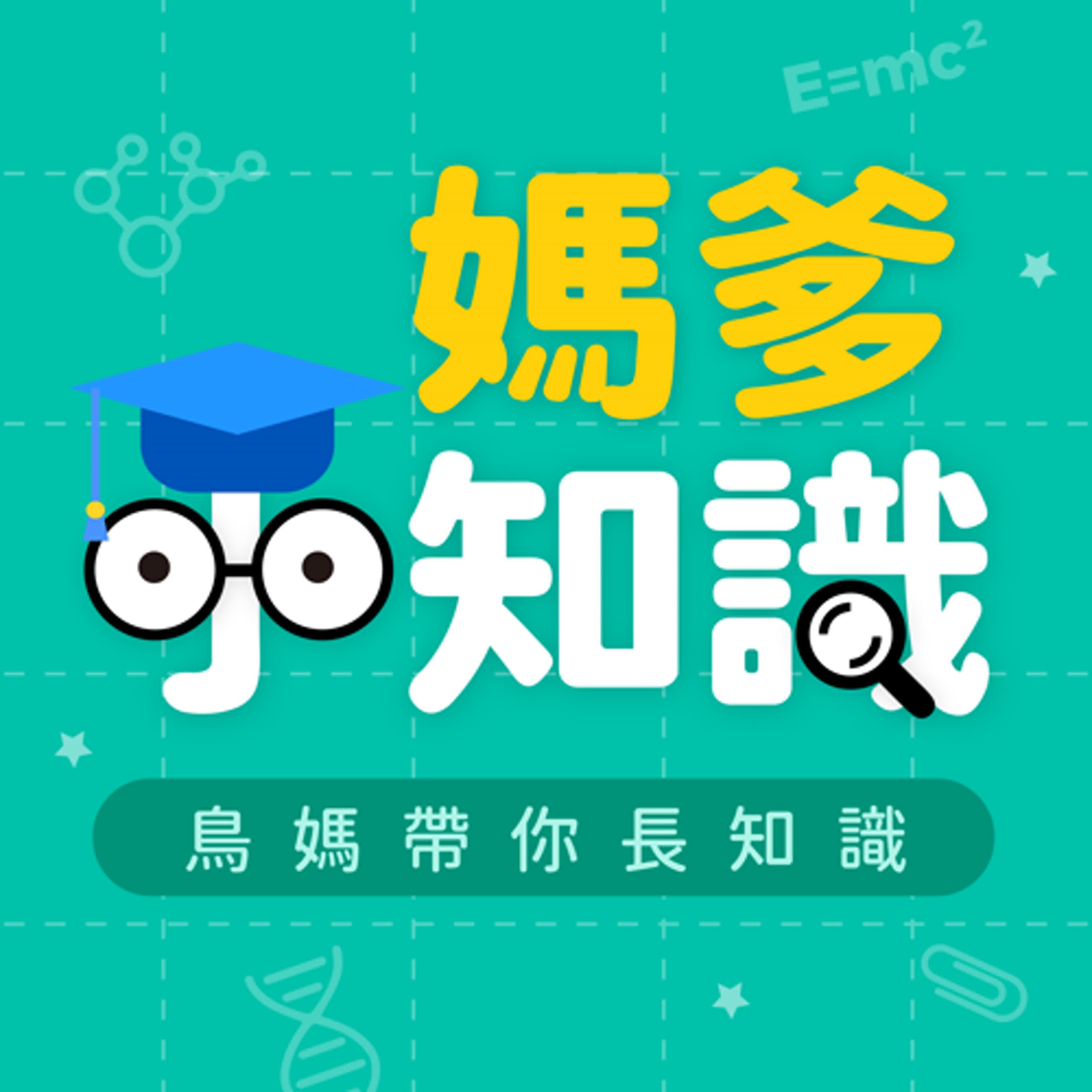【媽爹小知識】兩隻老鷹的英文是？