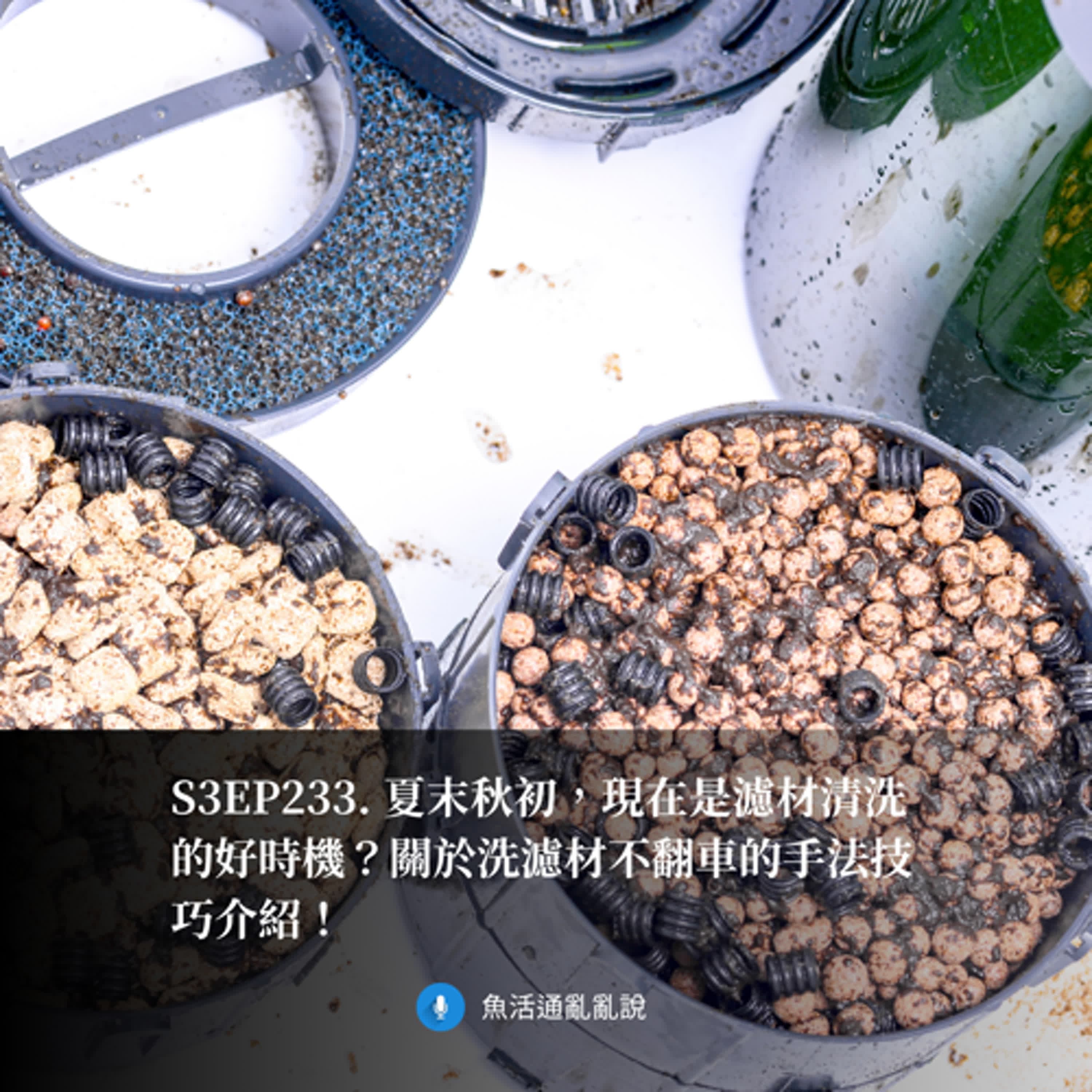 S3EP233. 夏末秋初，現在是濾材清洗的好時機？關於洗濾材不翻車的手法技巧介紹！