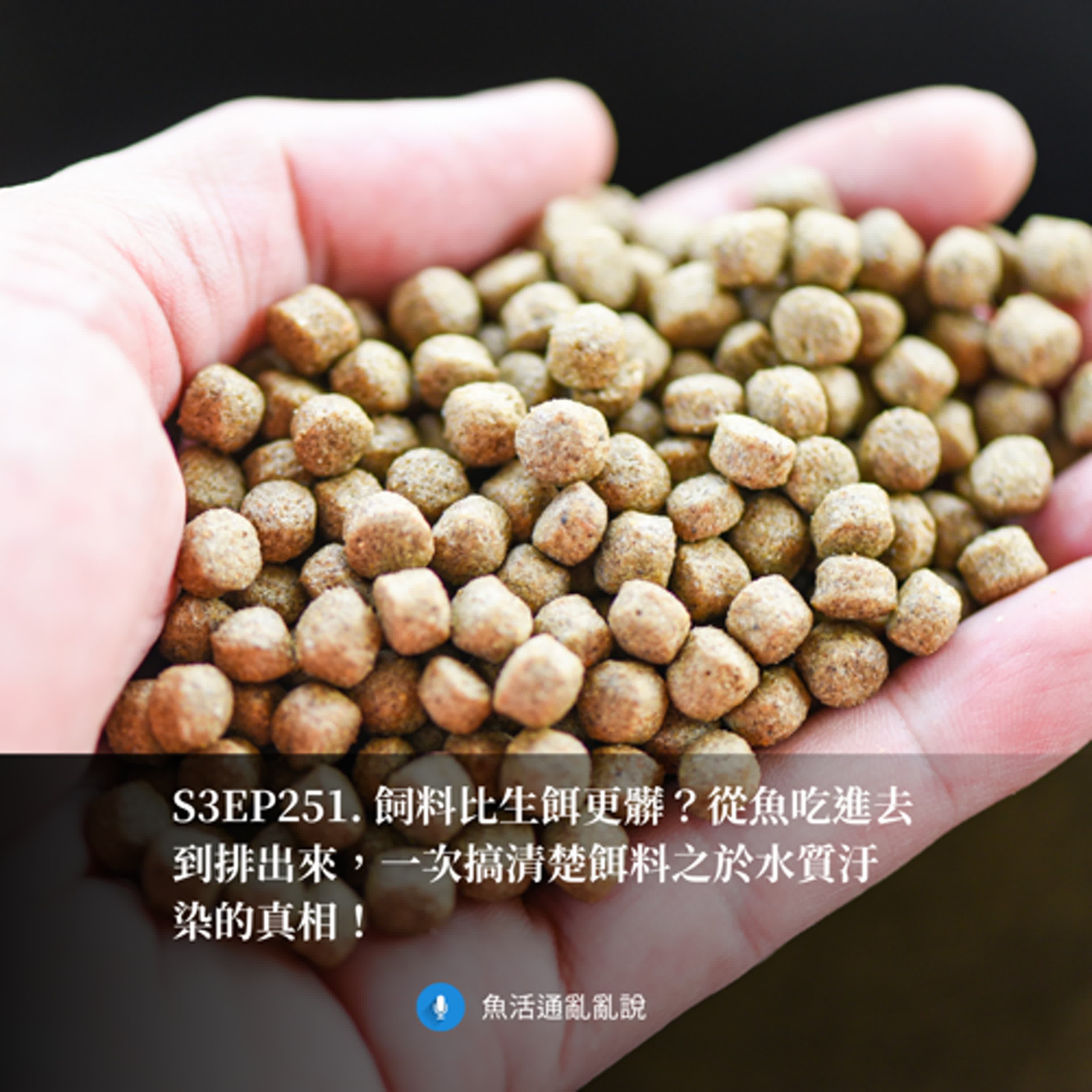 S3EP251. 飼料比生餌更髒?從魚吃進去到排出來,一次搞清楚餌料之於水質汙染的真相!