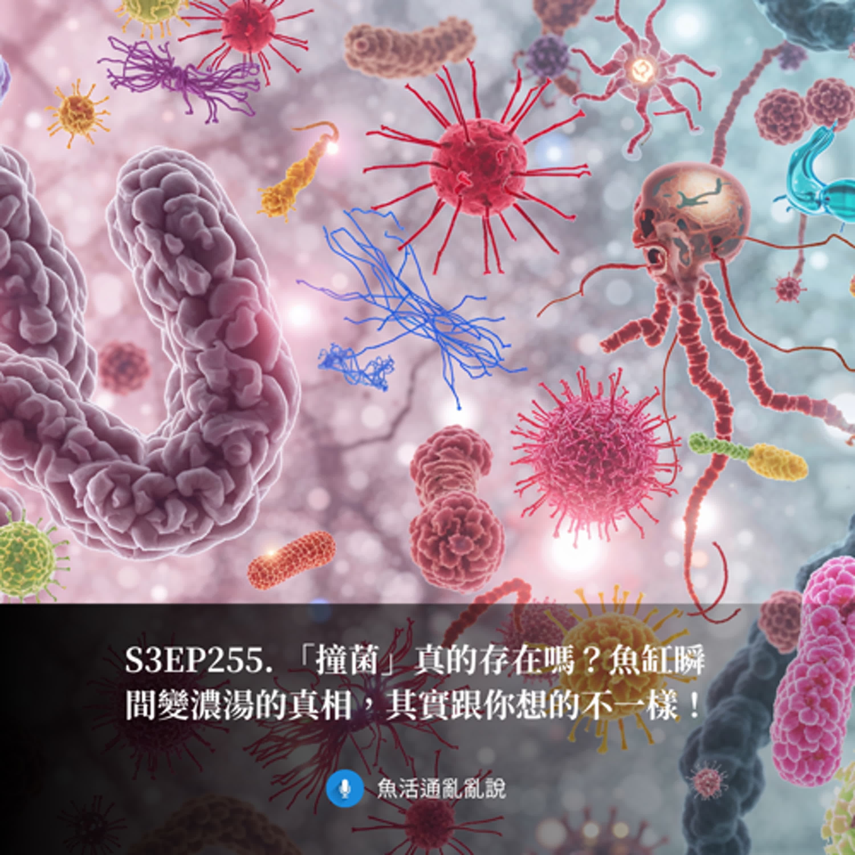 S3EP255. 「撞菌」真的存在嗎?魚缸瞬間變濃湯的真相,其實跟你想的不一樣!