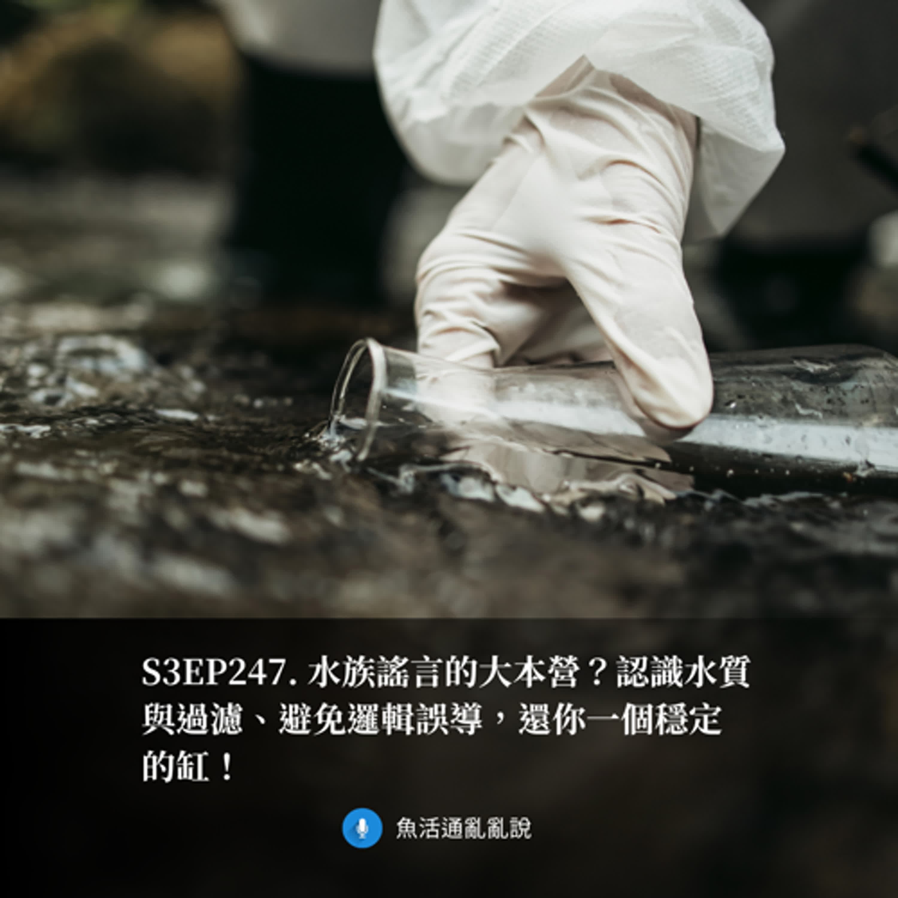 S3EP247. 水族謠言的大本營?認識水質與過濾、避免邏輯誤導,還你一個穩定的缸!