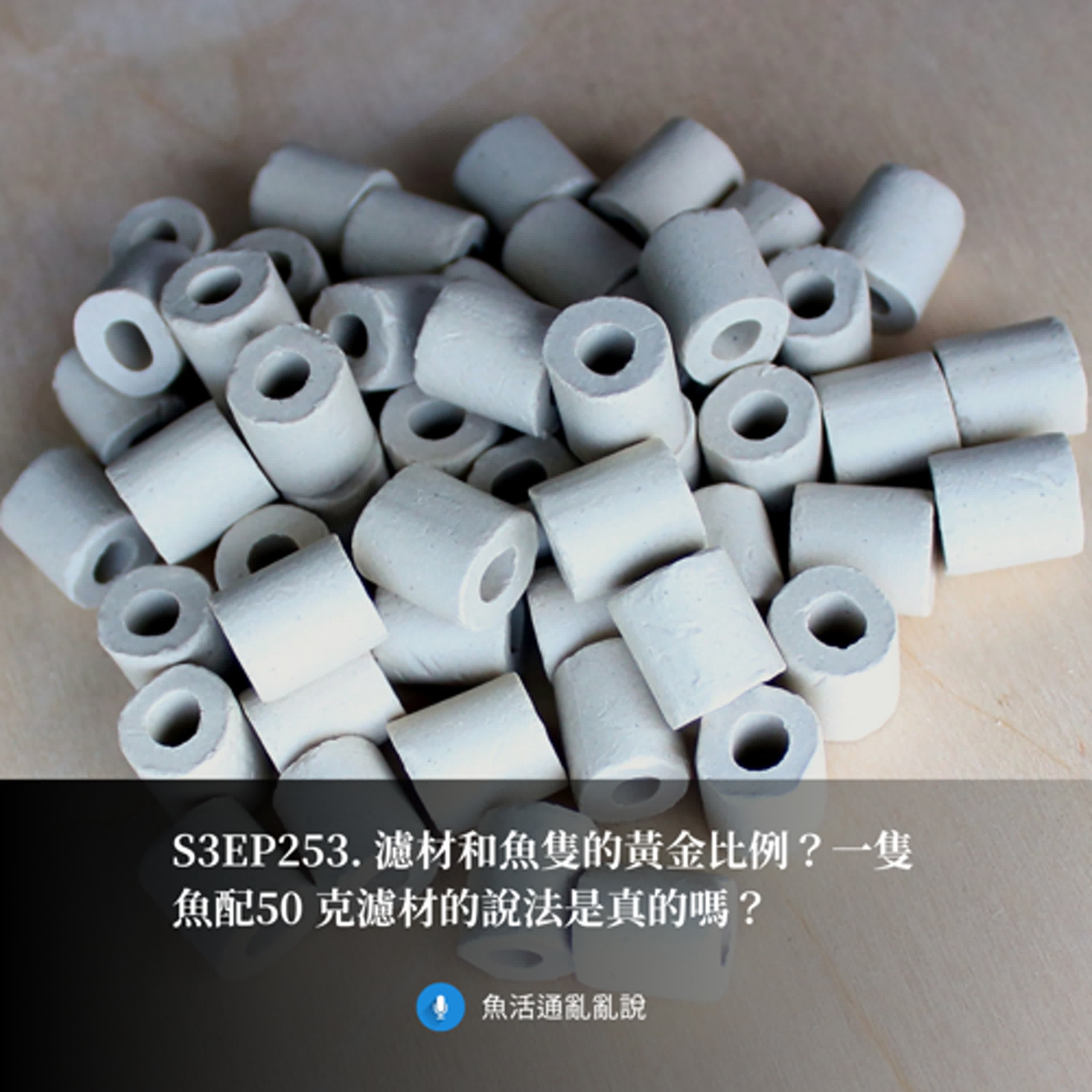 S3EP253. 濾材和魚隻的黃金比例?一隻魚配50 克濾材的說法是真的嗎?