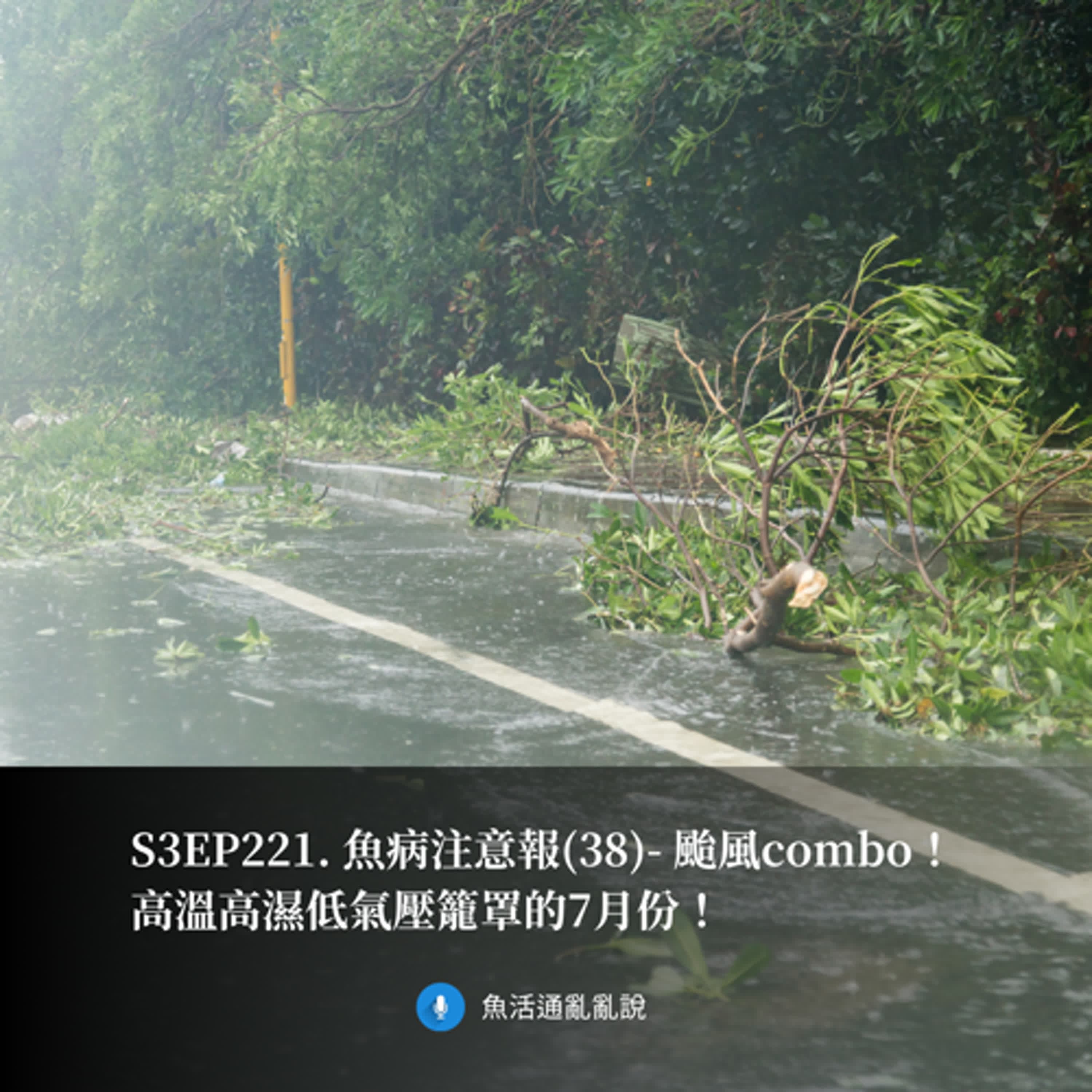 S3EP221. 魚病注意報(38)- 颱風combo！高溫高濕低氣壓籠罩的7月份！