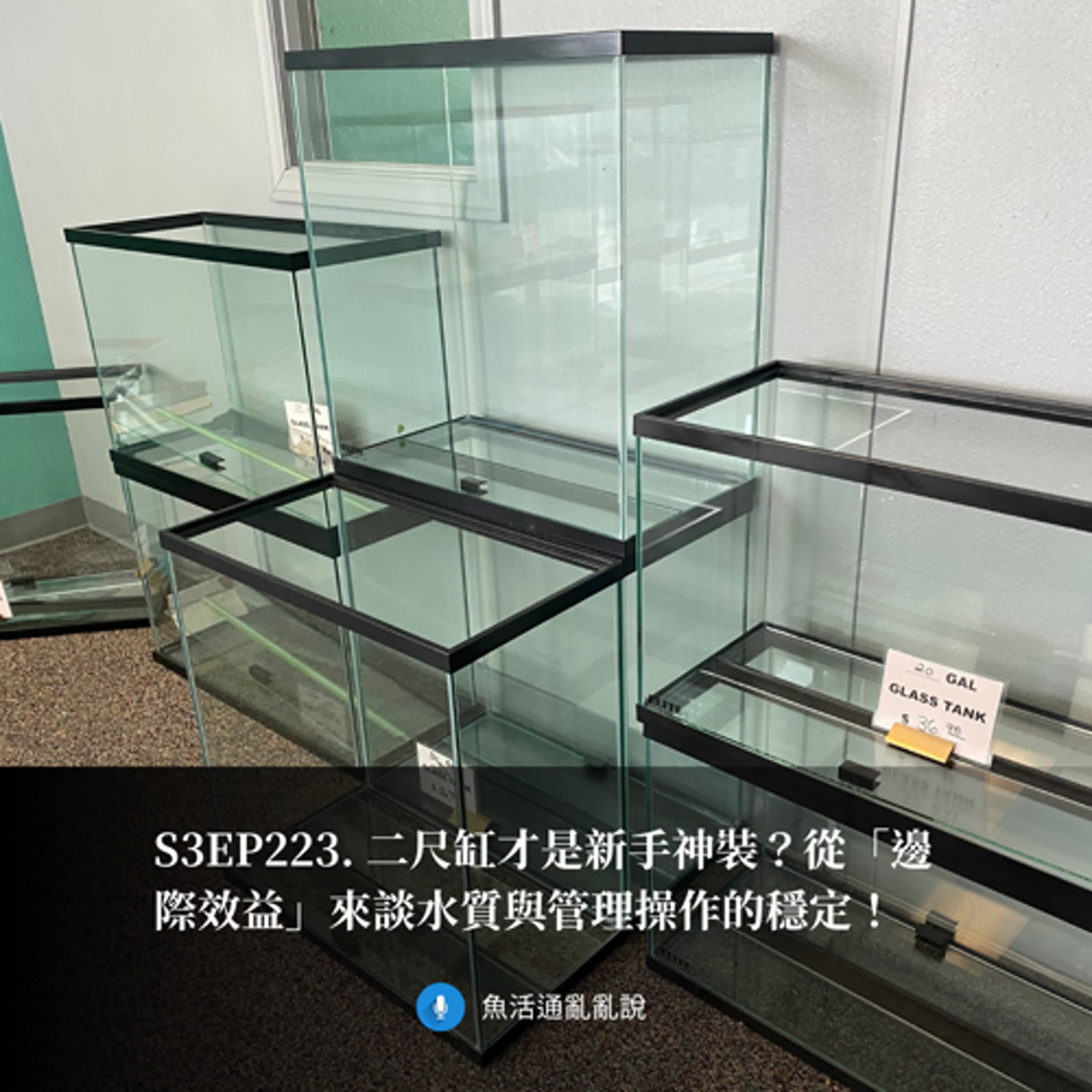 S3EP223. 二尺缸才是新手神裝？從「邊際效益」來談水質與管理操作的穩定！