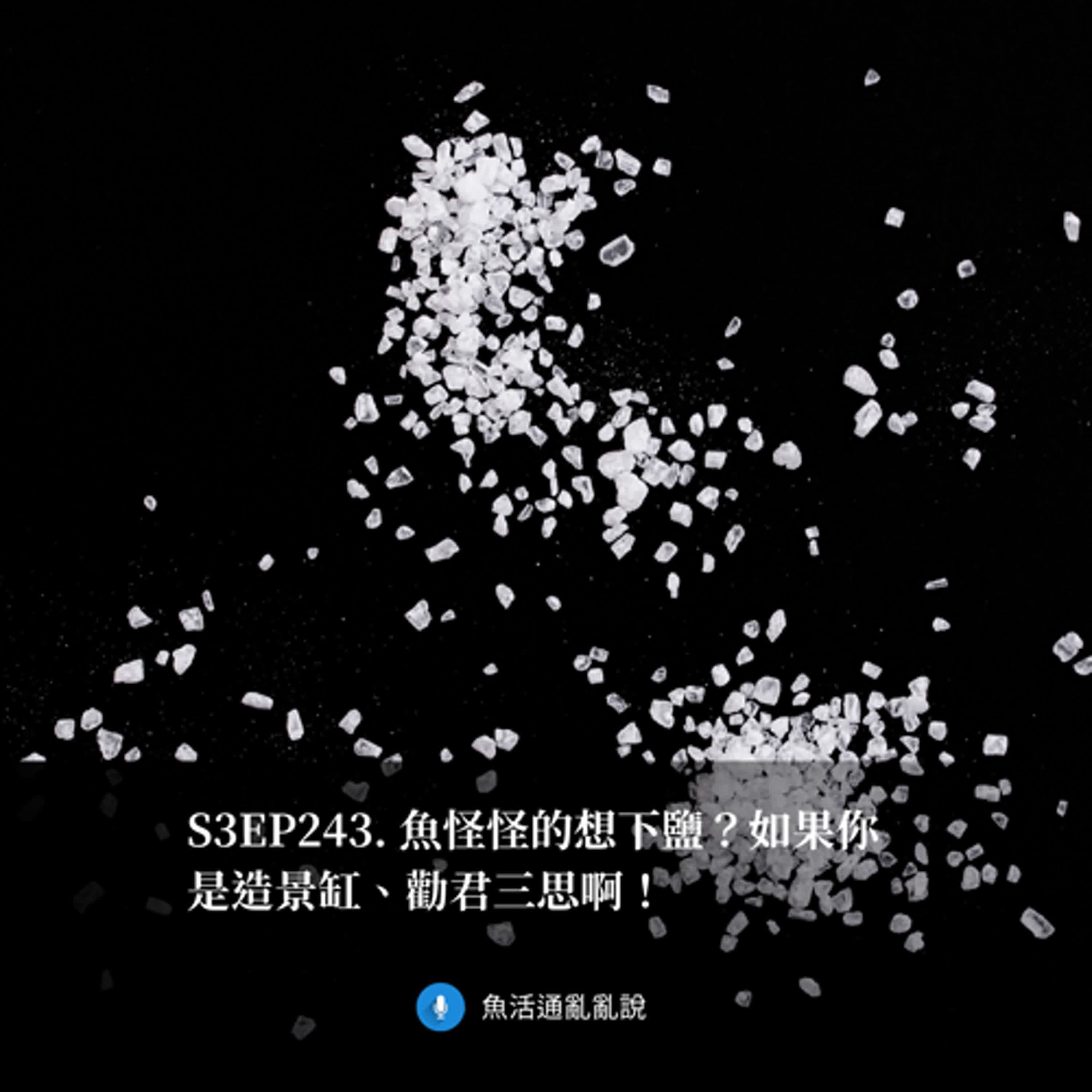 S3EP243. 魚怪怪的想下鹽?如果你是造景缸、勸君三思啊!