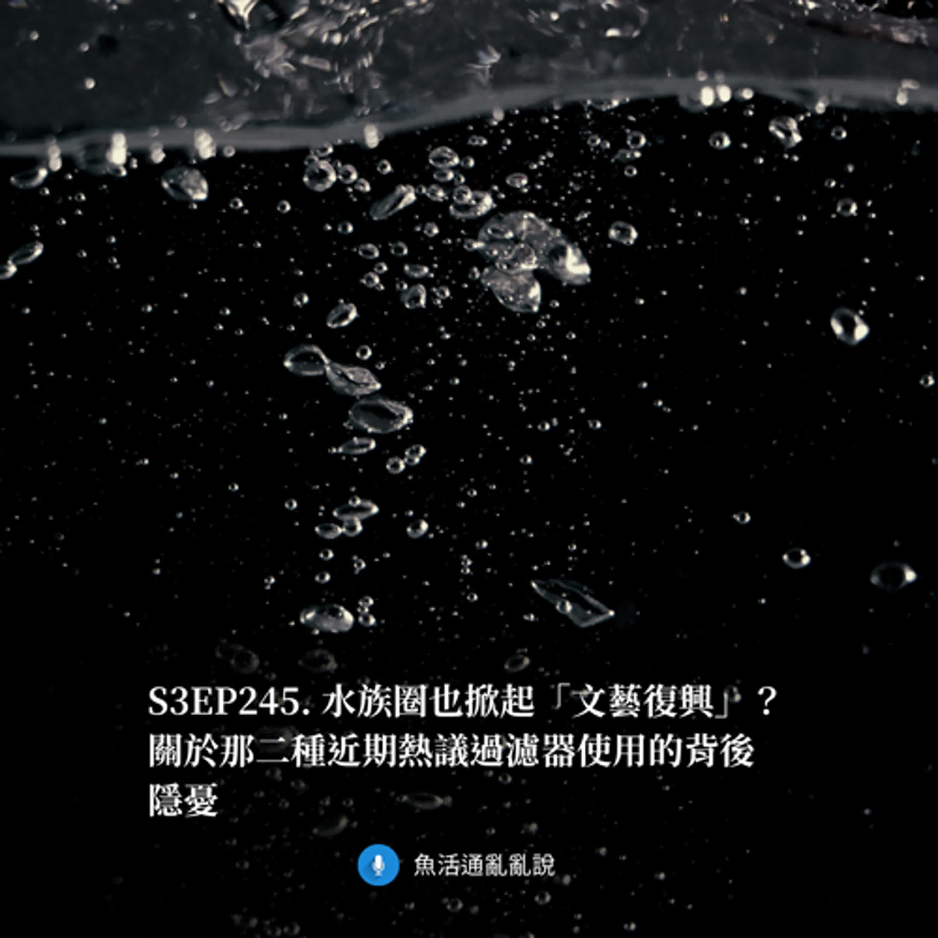 S3EP245. 水族圈也掀起「文藝復興」?關於那二種近期熱議過濾器使用的背後隱憂