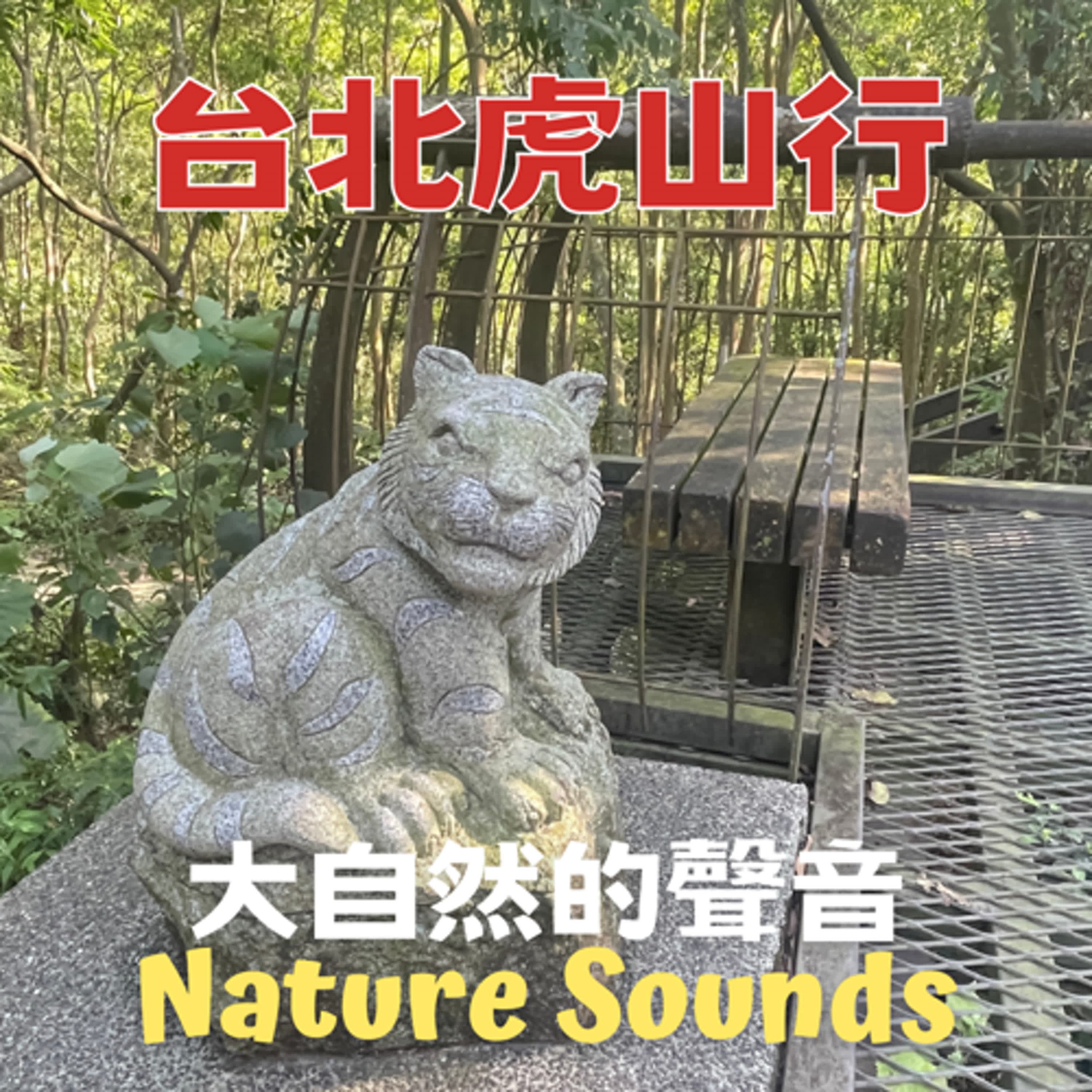 🌙大自然聲音⭐️台北虎山行 | Nature Sounds | Tiger Mountain, Taipei
