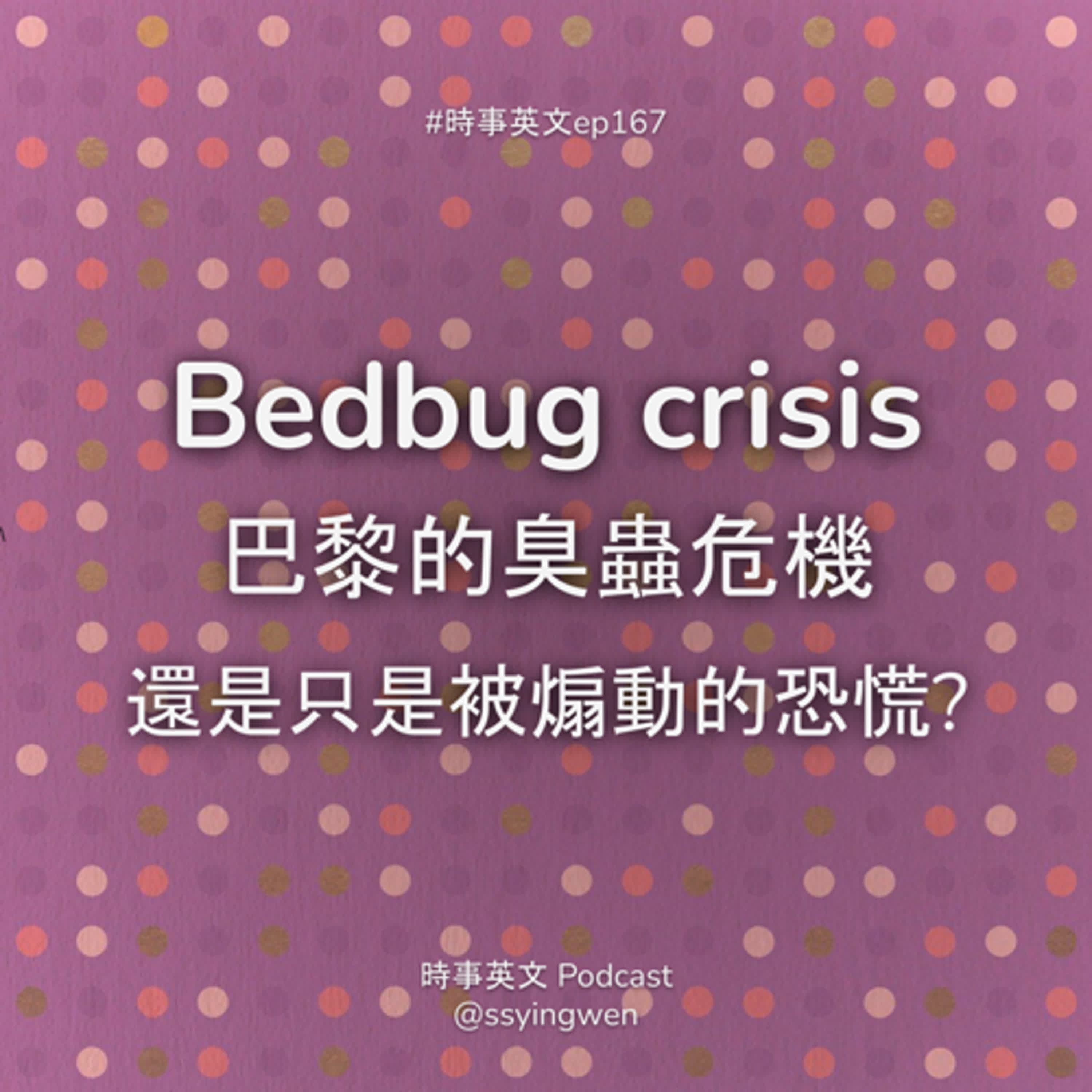 (修正音檔) #167 🐛 Bedbug crisis 巴黎的臭蟲危機
