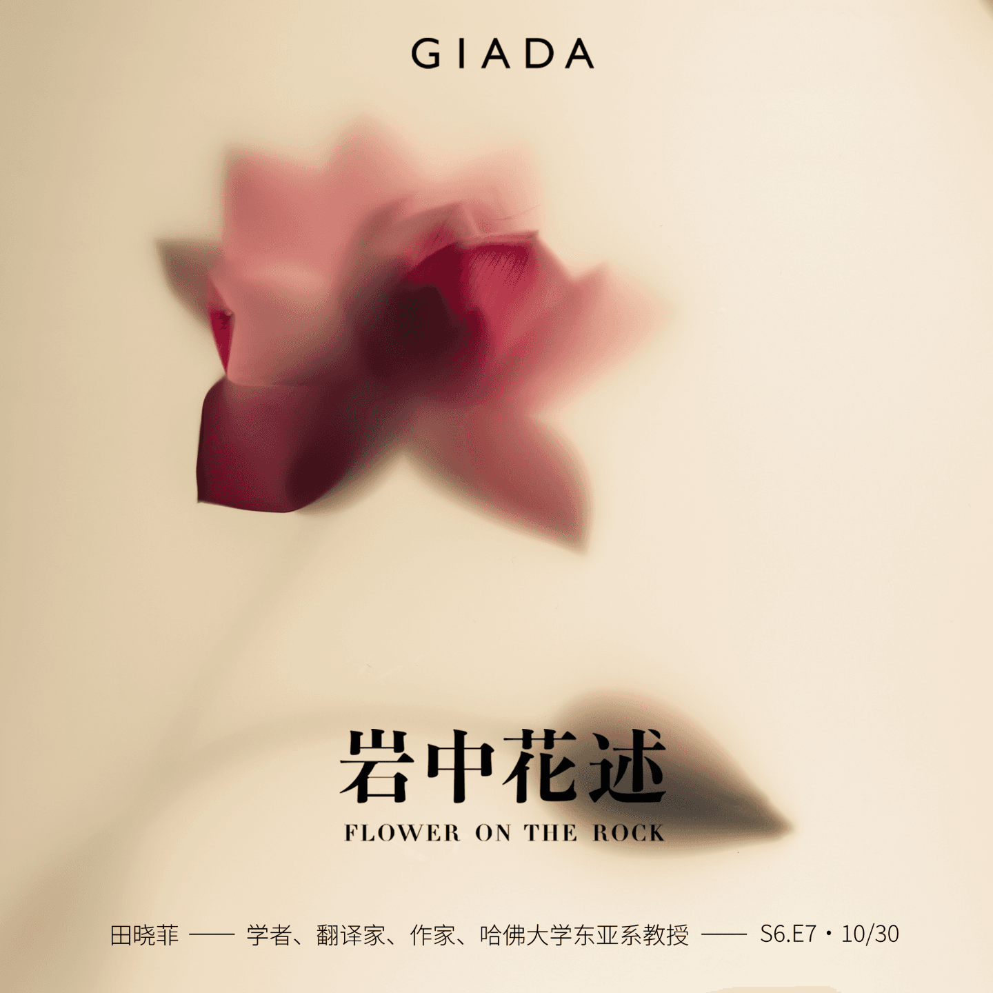 S6E7 鲁豫对话田晓菲 | 「早慧才女」非所望,终盼人生「老更成」