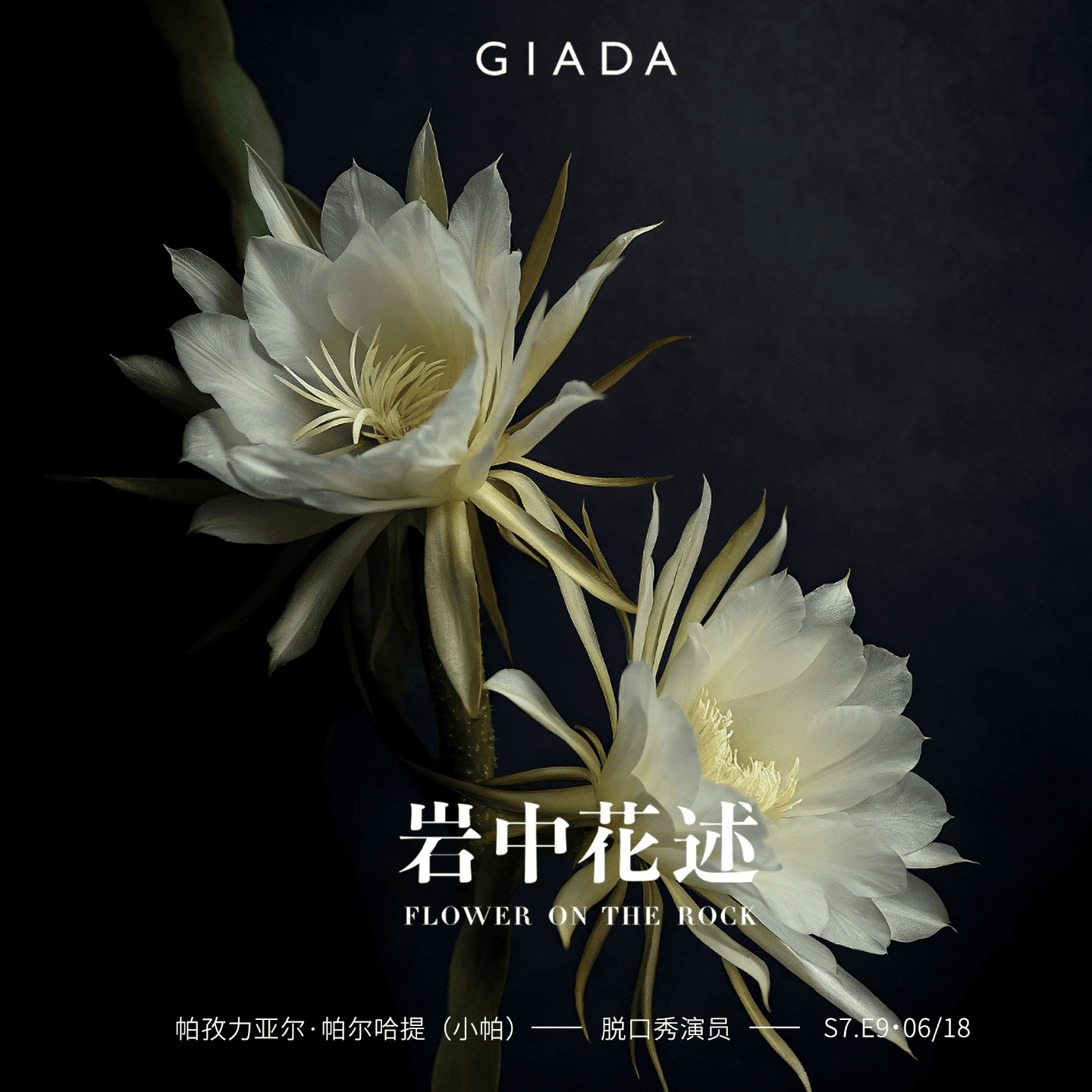 S7E9 鲁豫对话小帕 | 要走多少路,才能成为一个女人,答案在风中飘荡