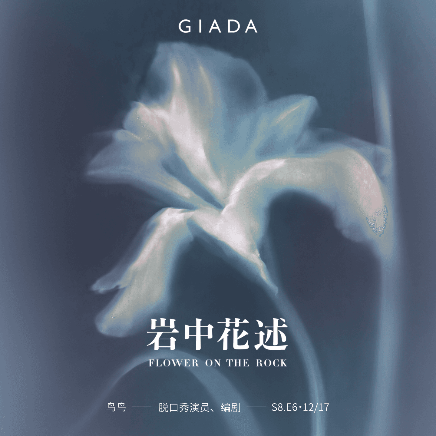 S8E6 鲁豫对话鸟鸟|没有魅力的人,也值得拥有世界