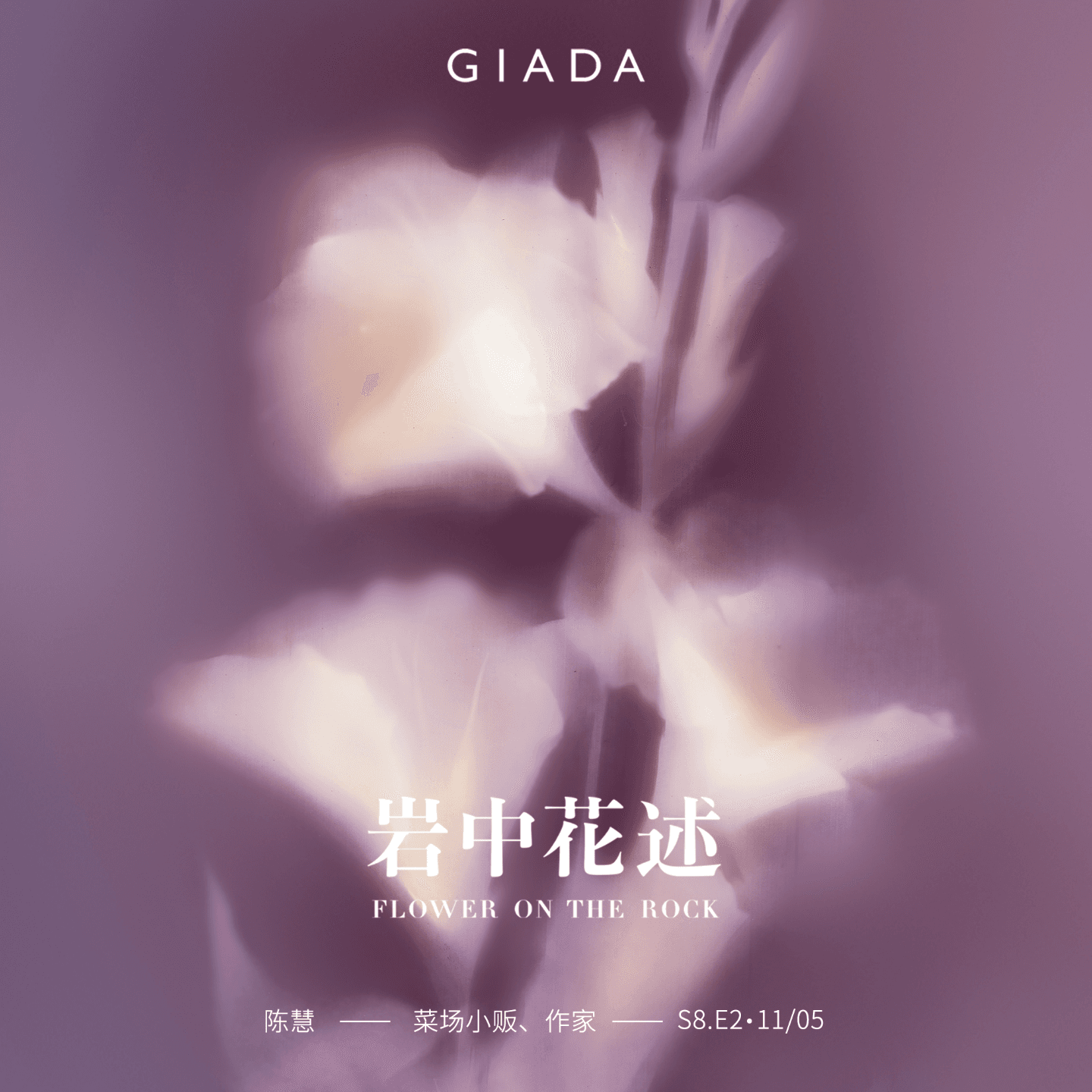 S8E2 鲁豫对话陈慧 | 人如南瓜,可攀援亦可贴地生长