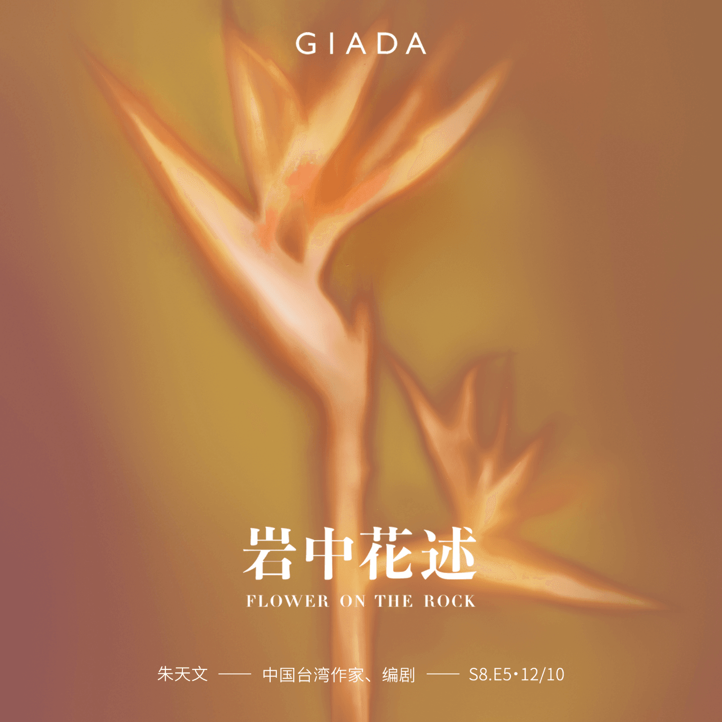 S8E5 鲁豫对话朱天文 | 他已登岸归家,吾独续写「巫」言