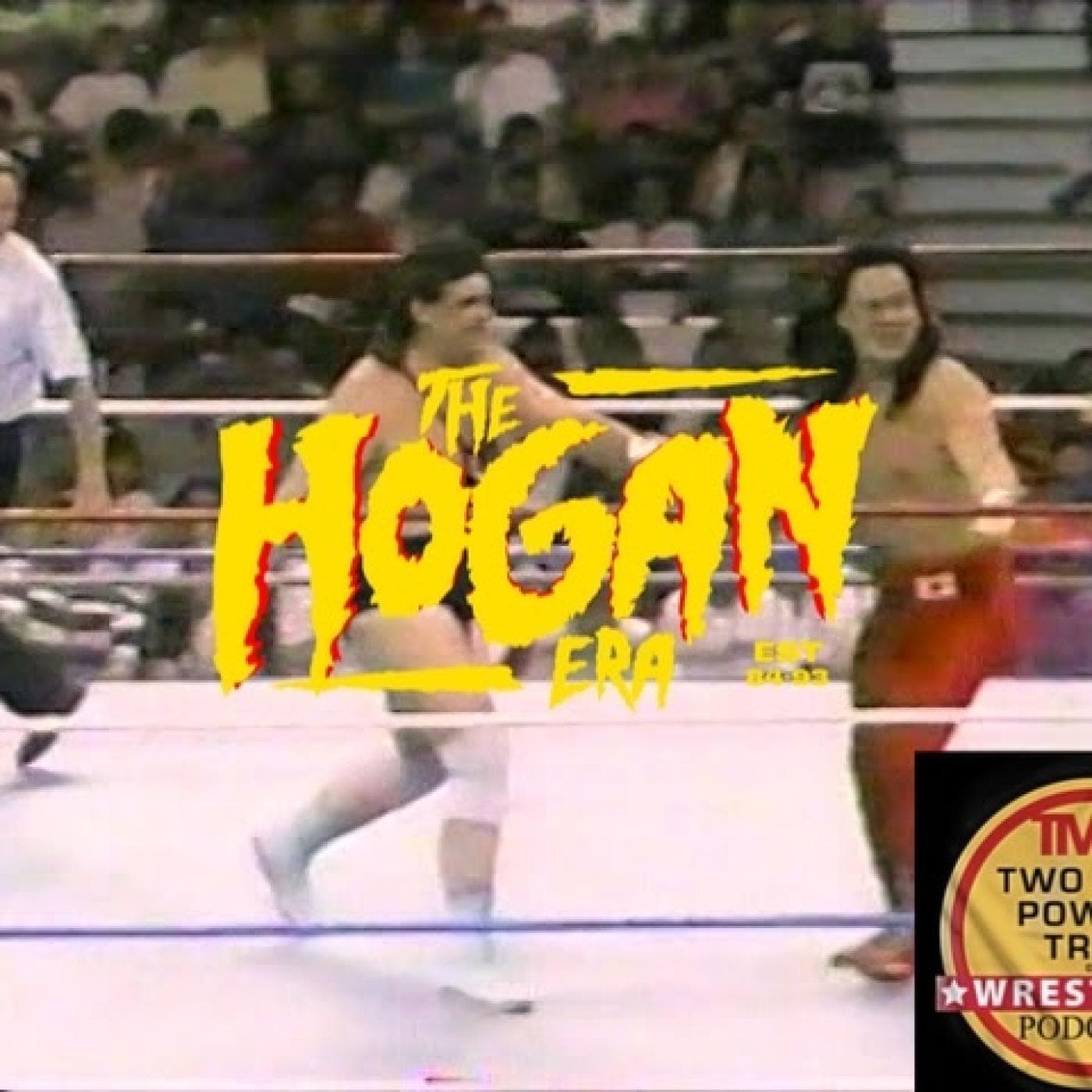 The Hogan Era - George Skaaland