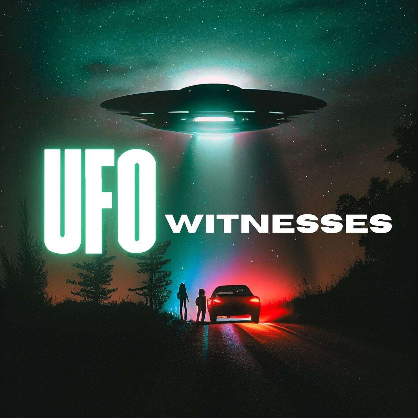 Little Men and Flying Creatures Emerge From Landed UFO
