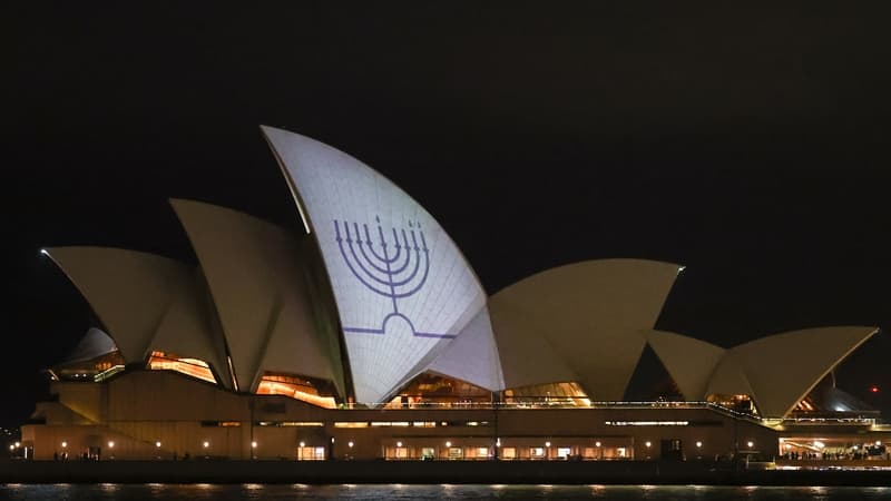 Australia to strengthen gun laws after Bondi Beach mass shooting