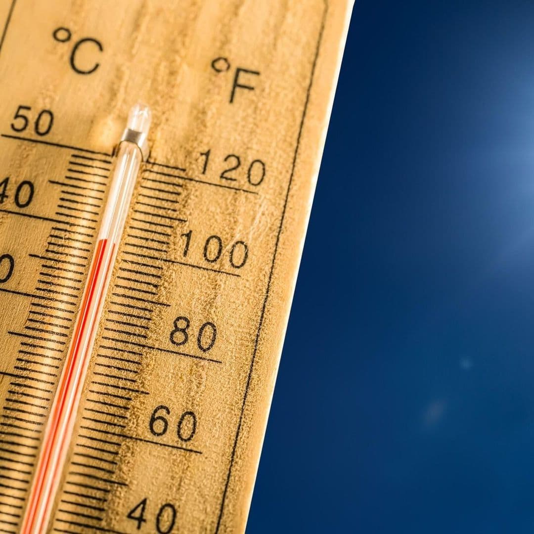 La calor dispara la toxicitat de l'aigua a municipis de Lleida