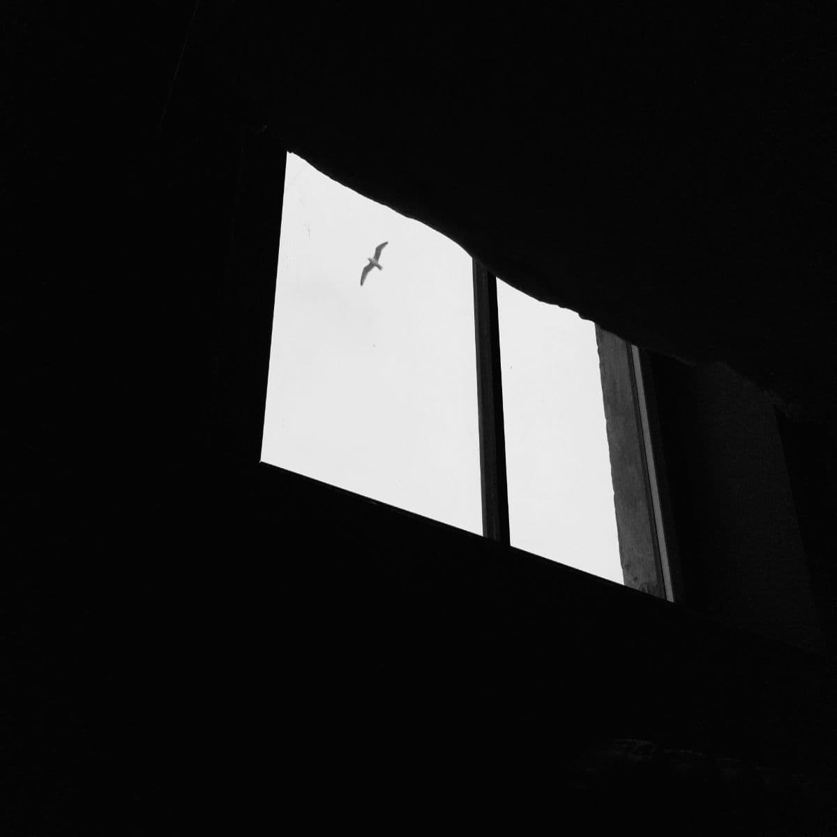 A lo loco y con patines - Canciones invisibles - 23/06/26