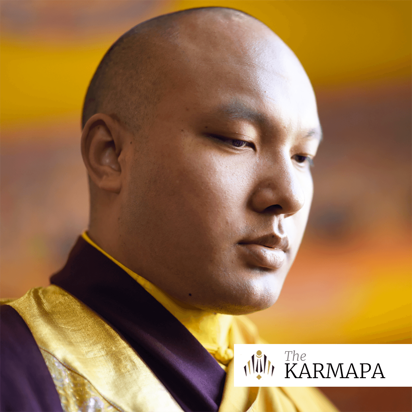 Introducing the New Podcast: Selected Talks and Teachings from the 17th Karmapa (Episode #001)