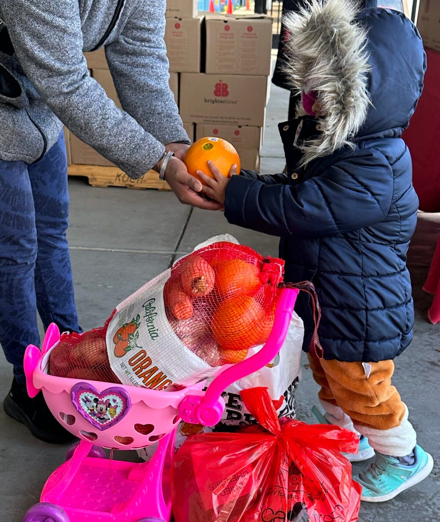 Food Banks Struggle Amidst SNAP Cuts