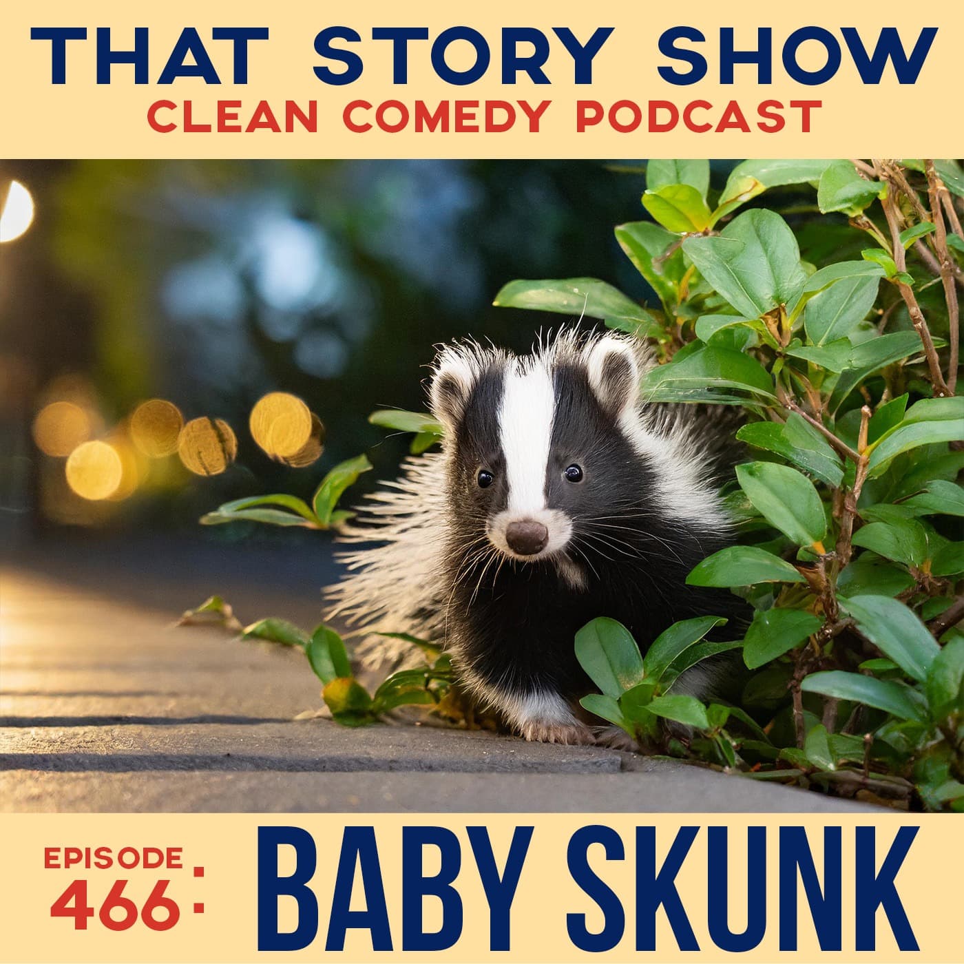 466: Baby Skunk