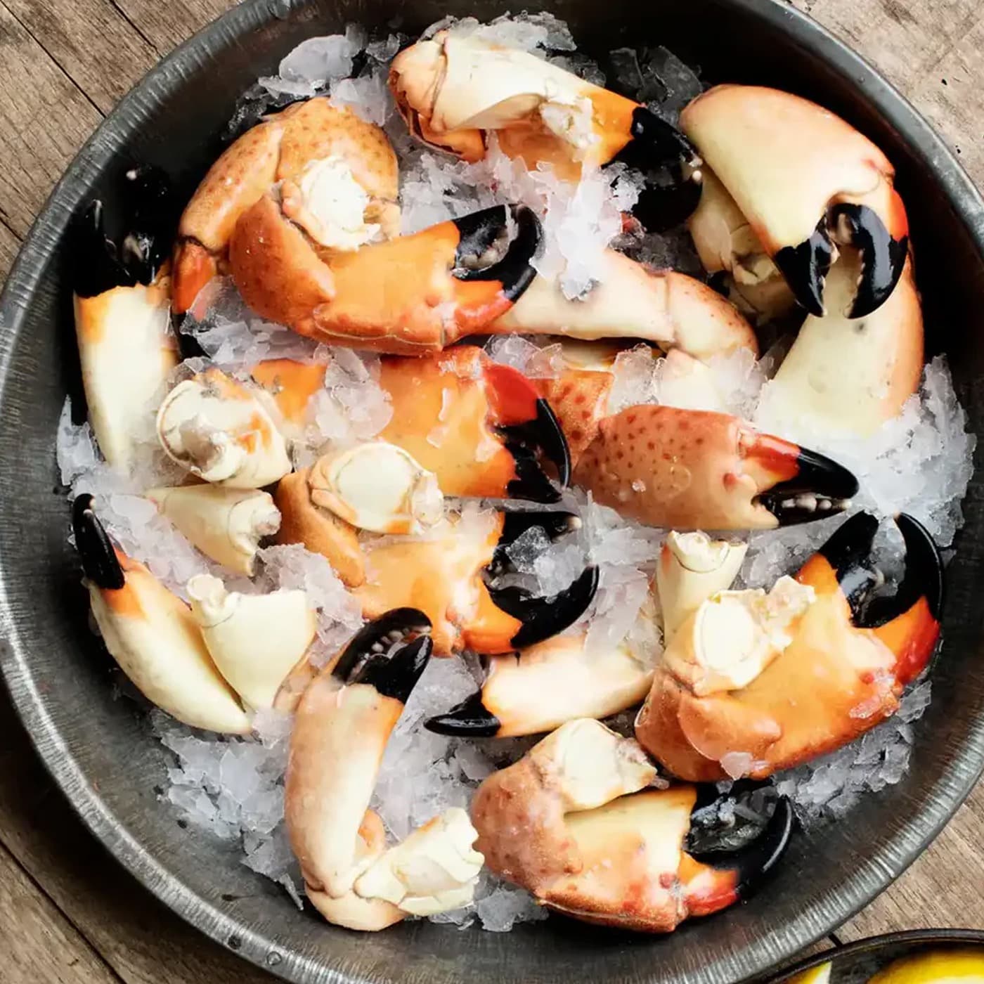 The Great Stone Crab Debate