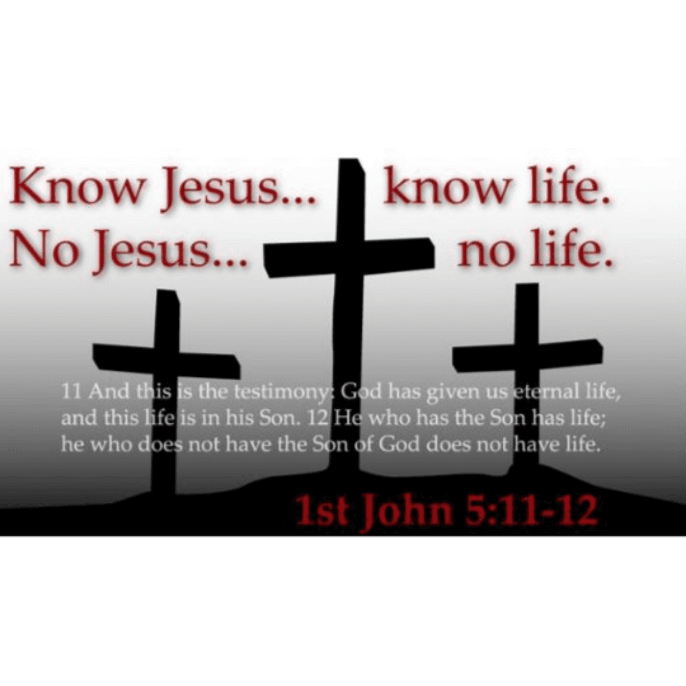 June 1st, 2025  7th Sunday in Easter - Guest Pastor Trichelle Kirchenwitz - Calvary Lutheran 