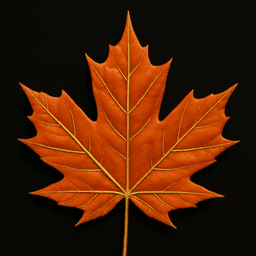Canadian Orange Podcast
