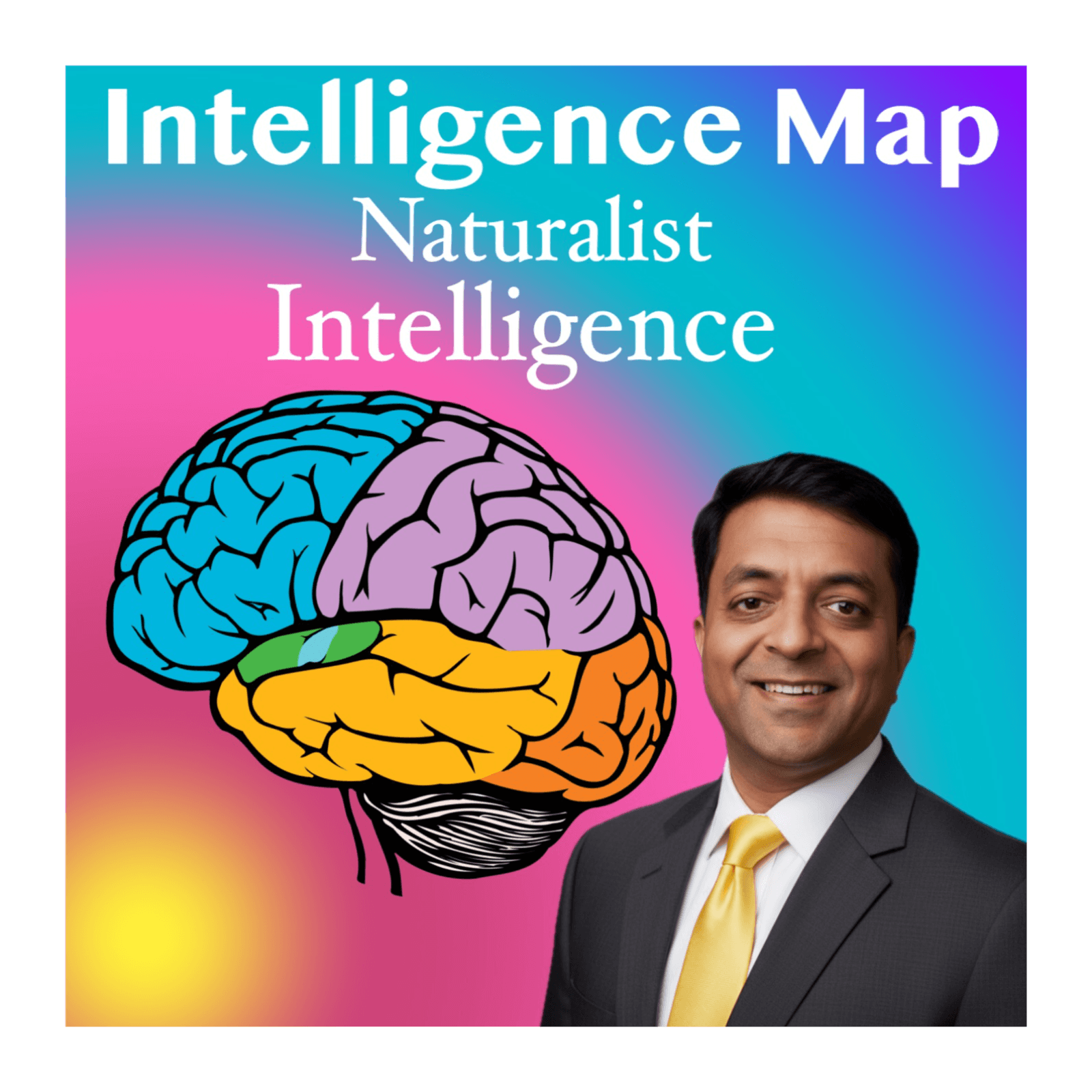 🌱 Naturalist Intelligence | Patterning, Classification & Systems Thinking