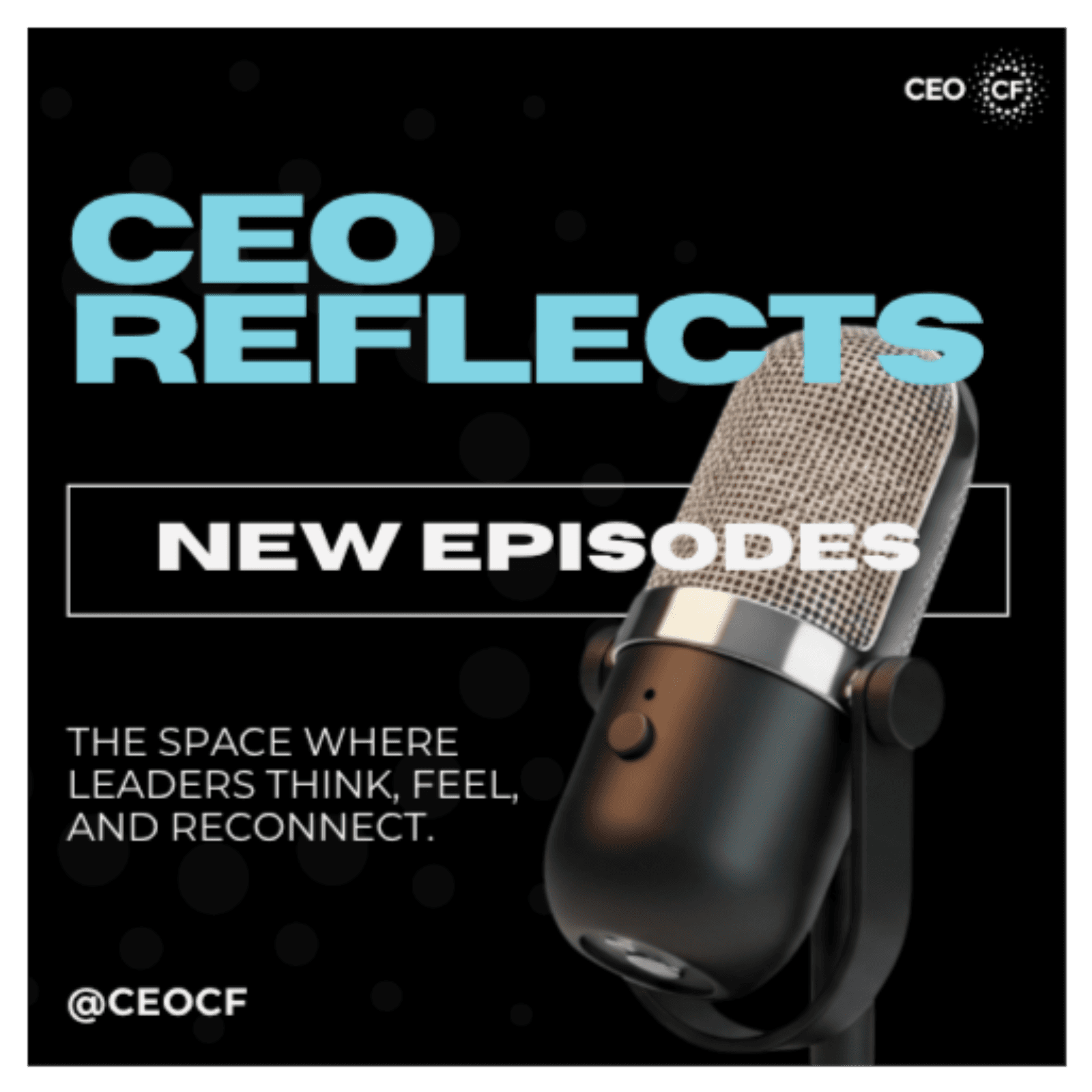 CEO Reflects | Special Episode with Pierre Chauvineau - The Art of Authentic Leadership 