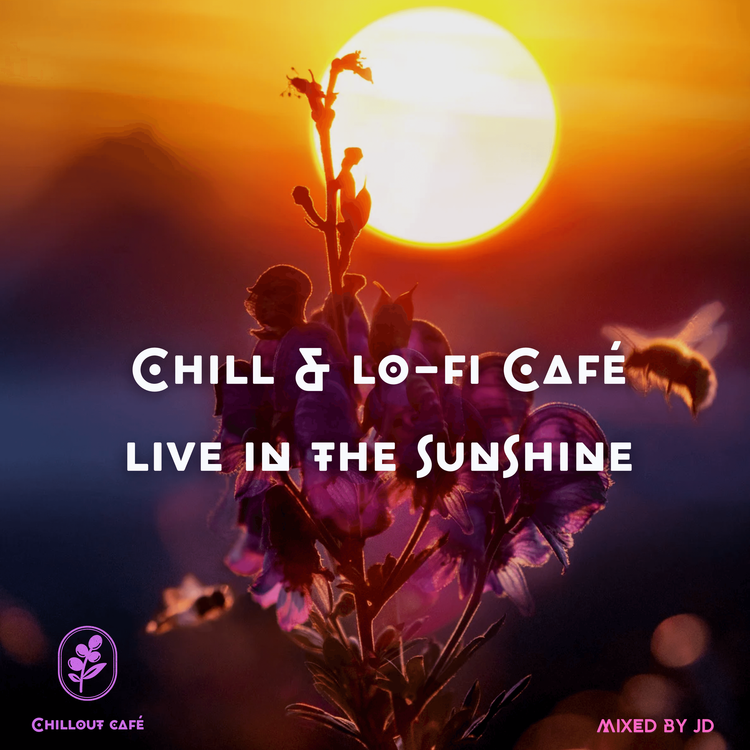 Chill & lo-fi Café - Live in the Sunshine