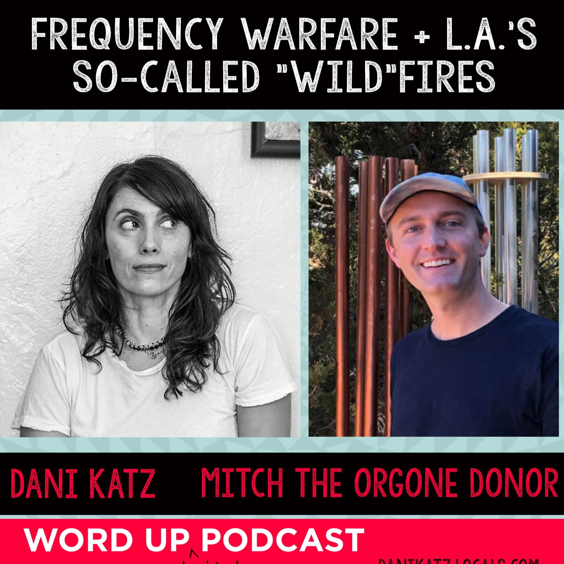 Frequency Warfare and LA’s So-Called ‘Wild’ Fires with Mitch the Orgone Donor