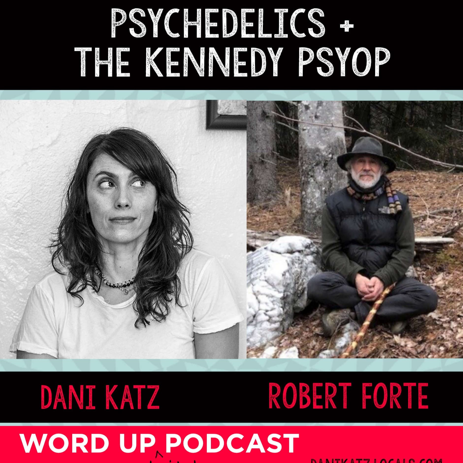 Psychedelics and the Kennedy Psyop with Robert Forte