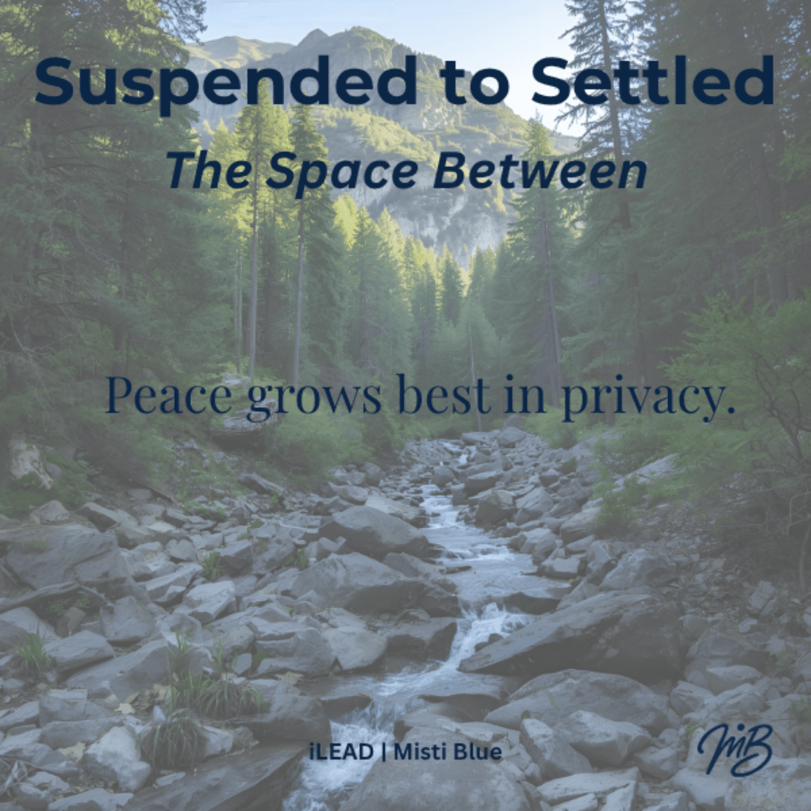 Suspended to Settled: The Space Between Ep. 2
