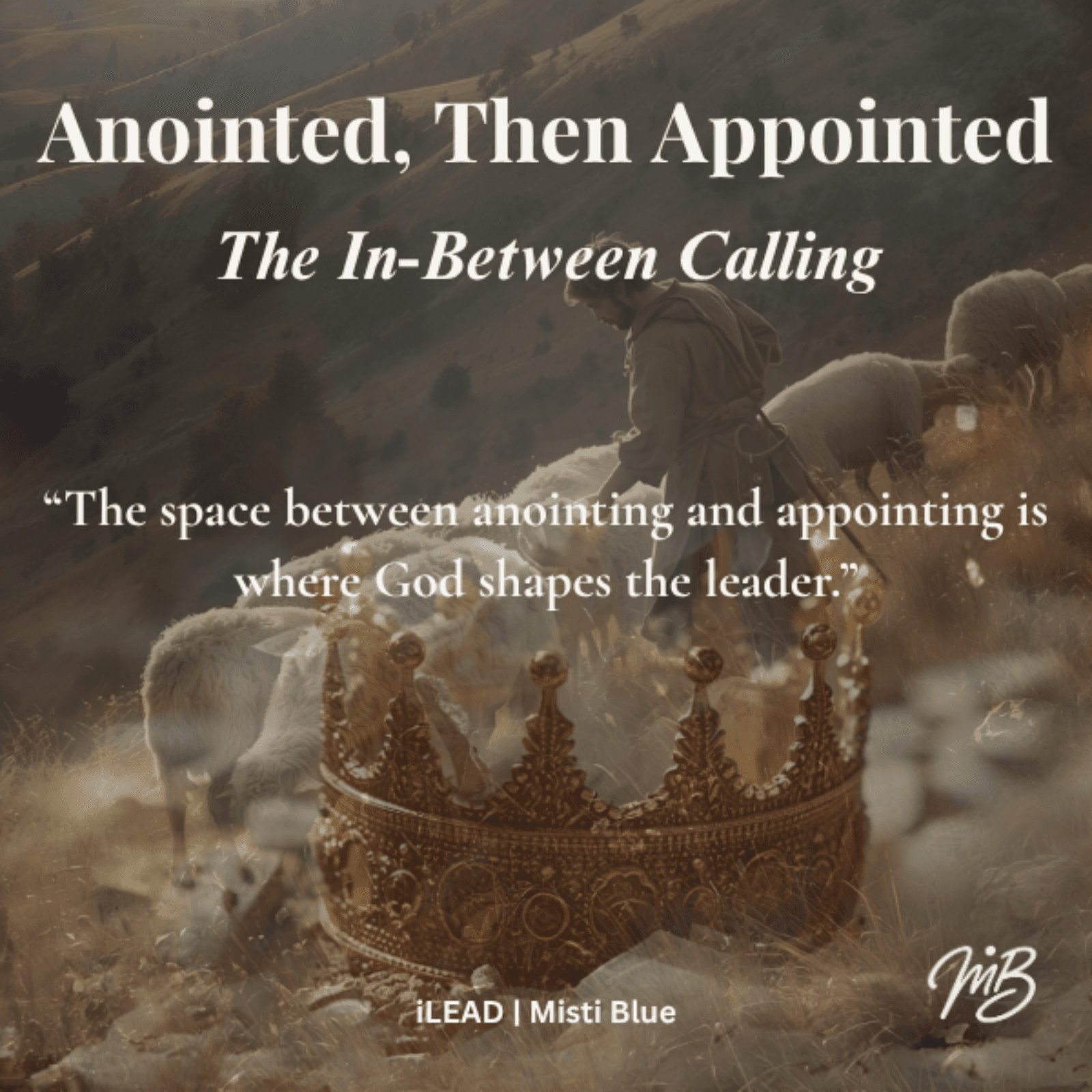 Suspended to Settled: Anointed, Then Appointed: The In-Between - David Ep. 4