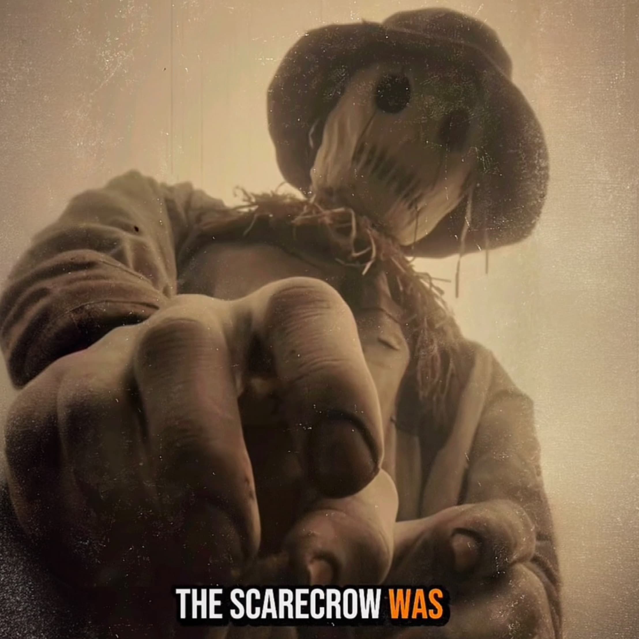 The Scarecrow That Remembered His Name 