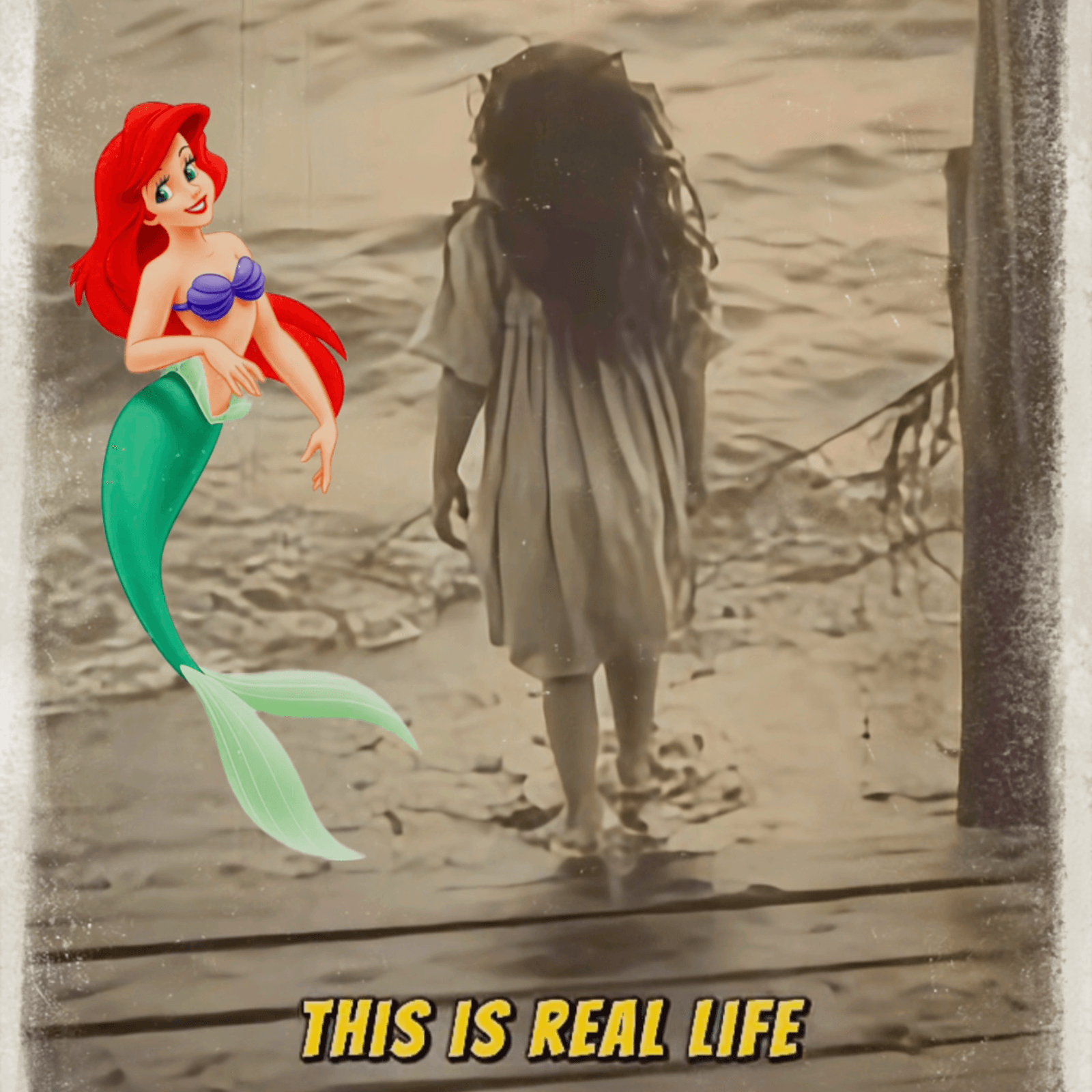 The Real-Life Little Mermaid (The 1891 Sea Girl Case)